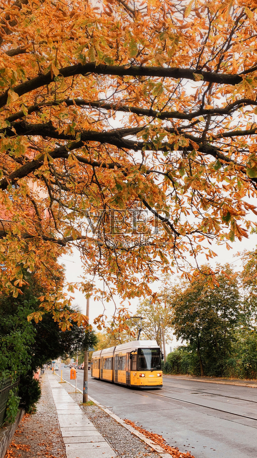 柏林的秋天照片摄影图片
