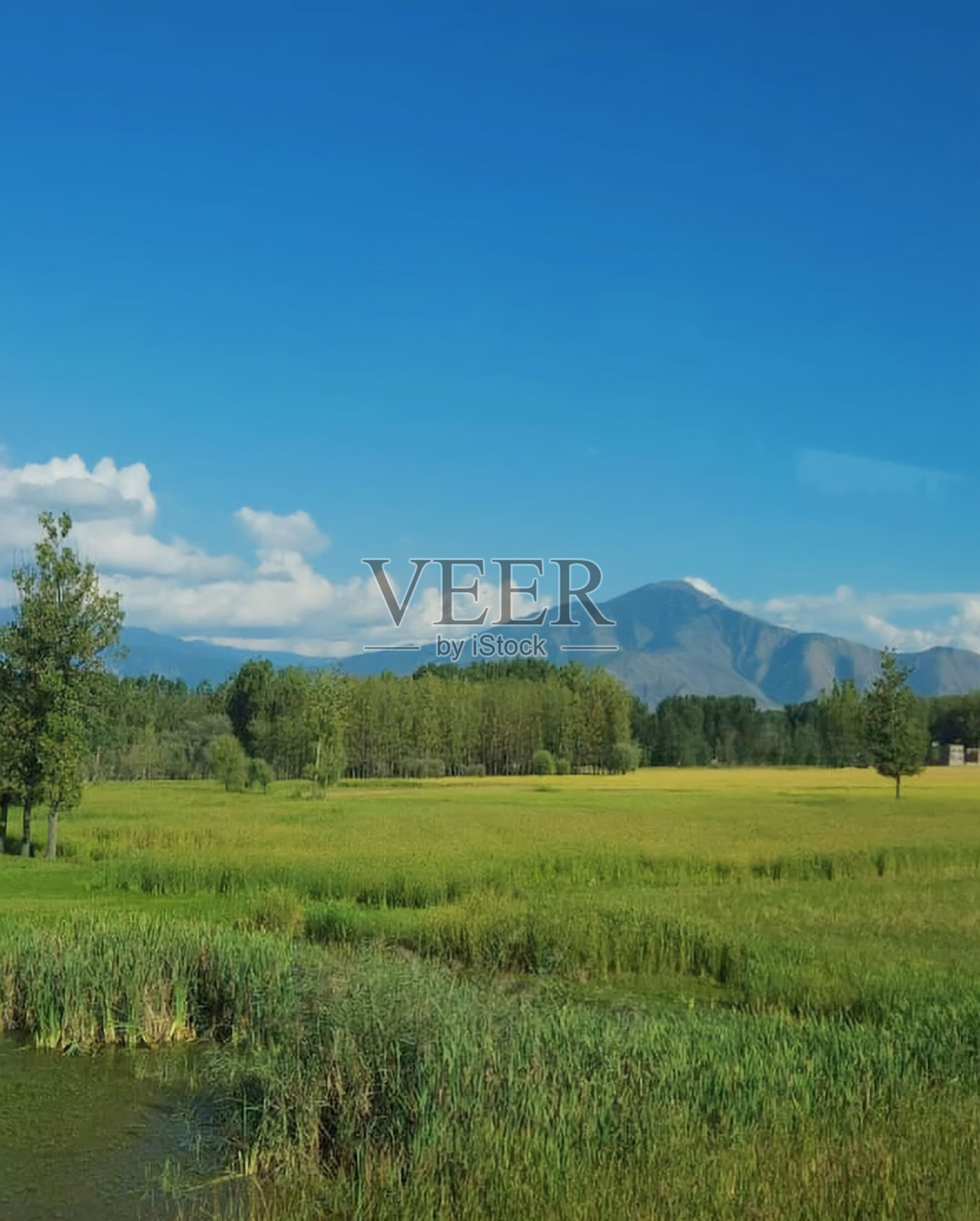 自然的威严照片摄影图片