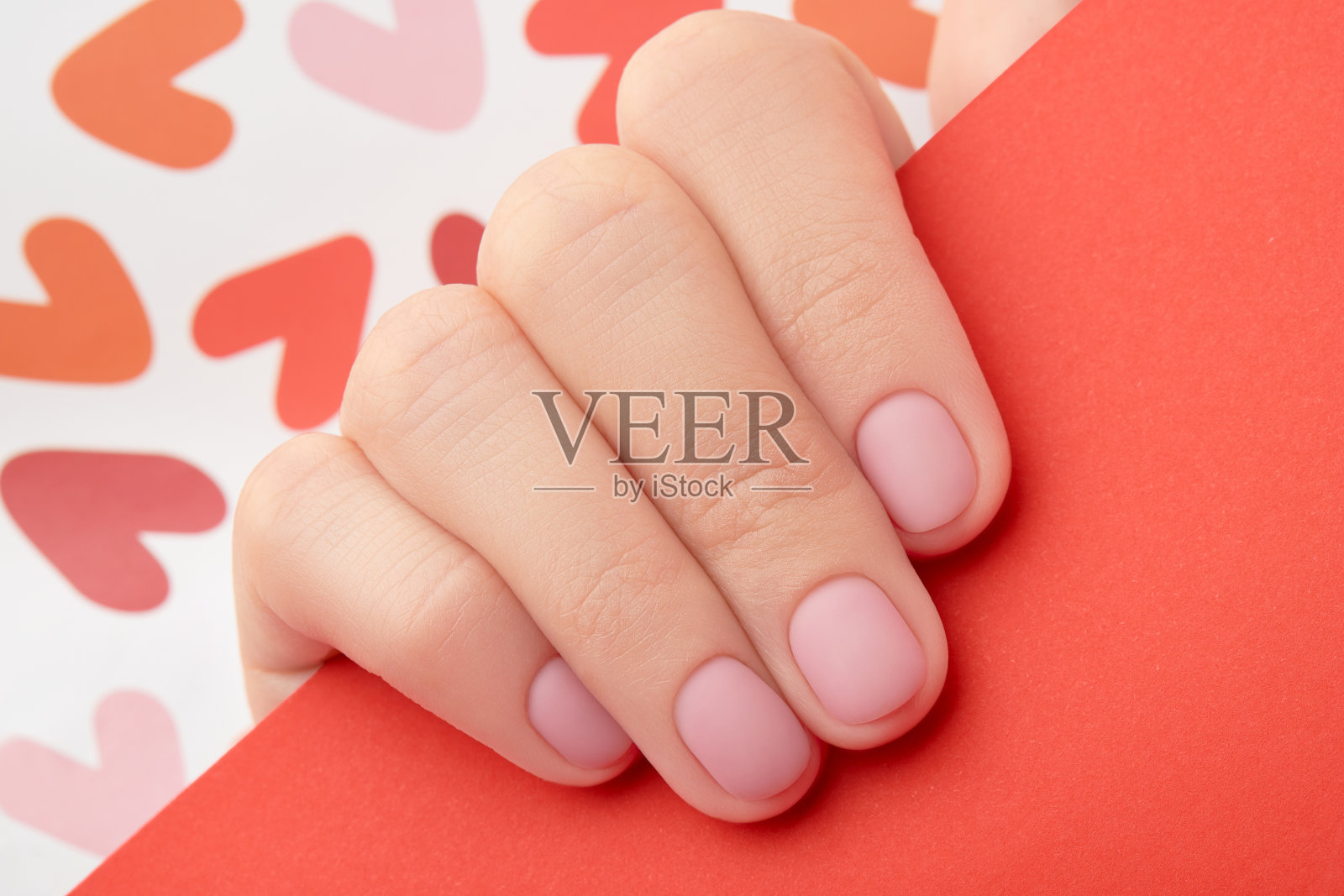 女人的手与时尚的粉红色磨砂指甲特写。美容spa身体护理照片摄影图片