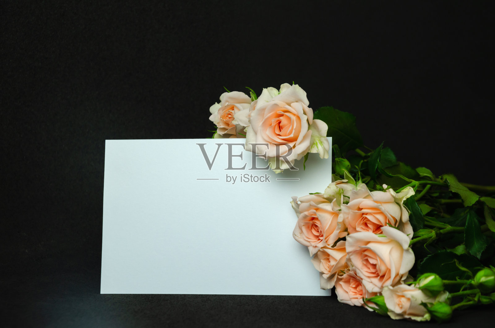 黑色背景的桃花玫瑰配白色明信片照片摄影图片