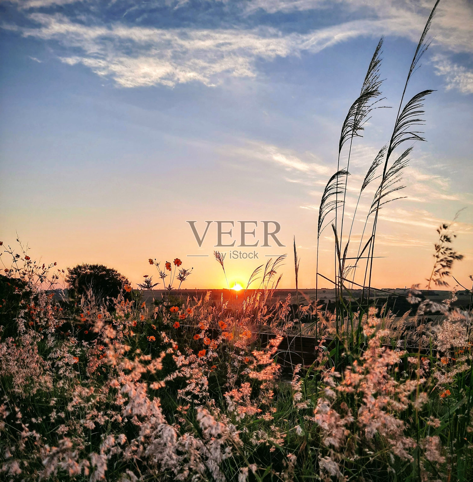 神圣的太阳照片摄影图片