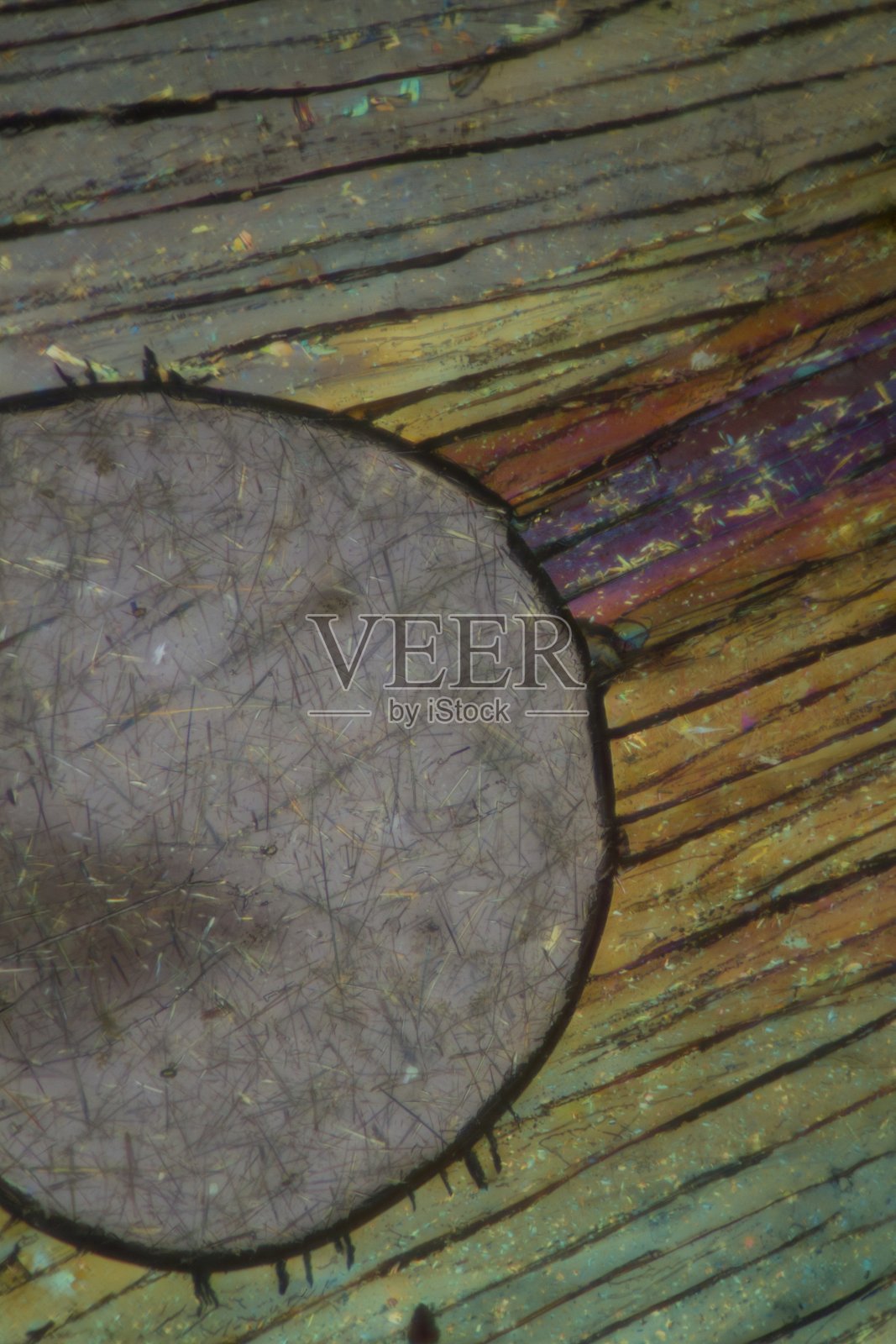 化学物质苦味酸由显微镜偏振光制成照片摄影图片