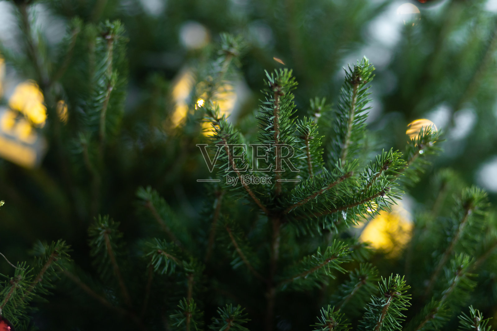 圣诞树绿枝上挂着玩具和灯光，新年和圣诞的准备理念，无人牵挂照片摄影图片