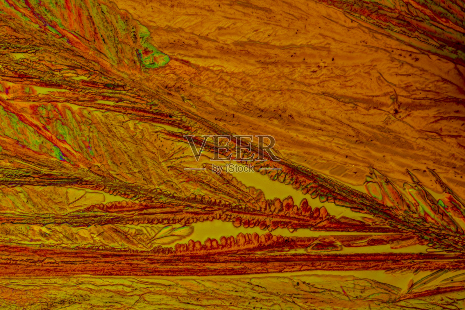 物质水杨酸锶在偏振光下的显微镜观察。照片摄影图片