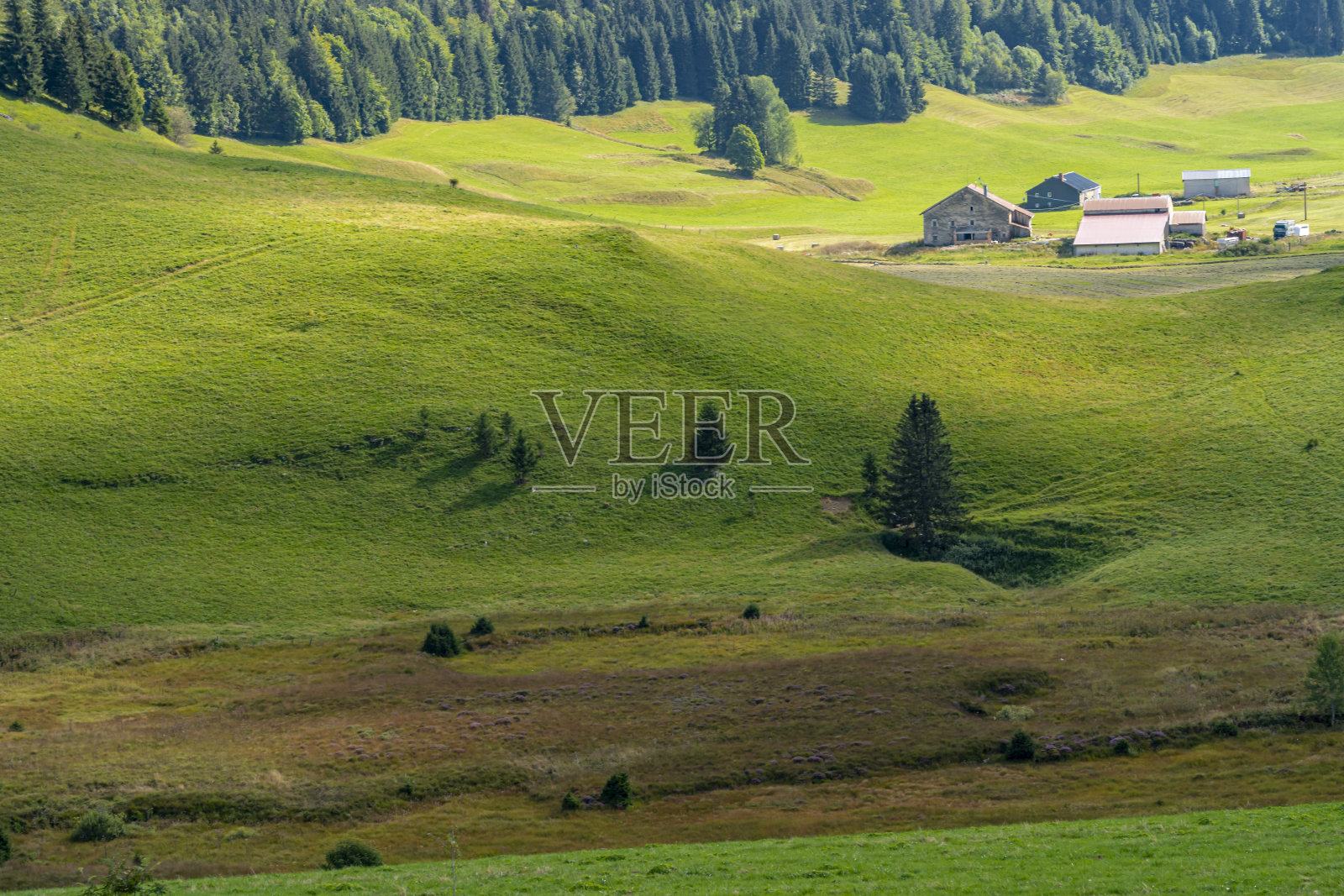 Bouchoux，法国- 2021年2月9日:Bouchoux的农场、山丘、森林和道路景观照片摄影图片