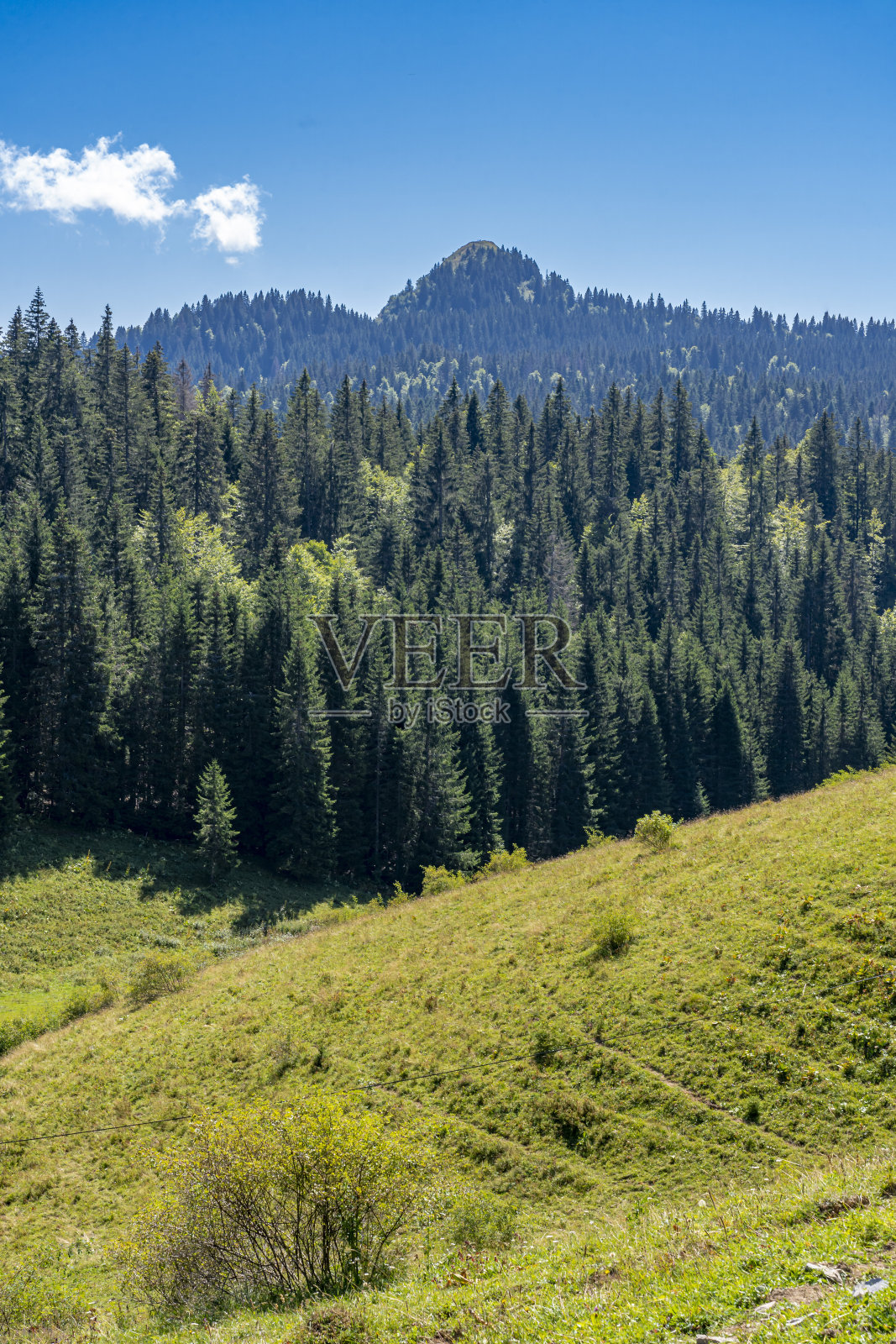 法国，ch<s:1>泽里法伦斯- 2021年2月9日:丘陵、草地、森林和山脉的景观照片摄影图片