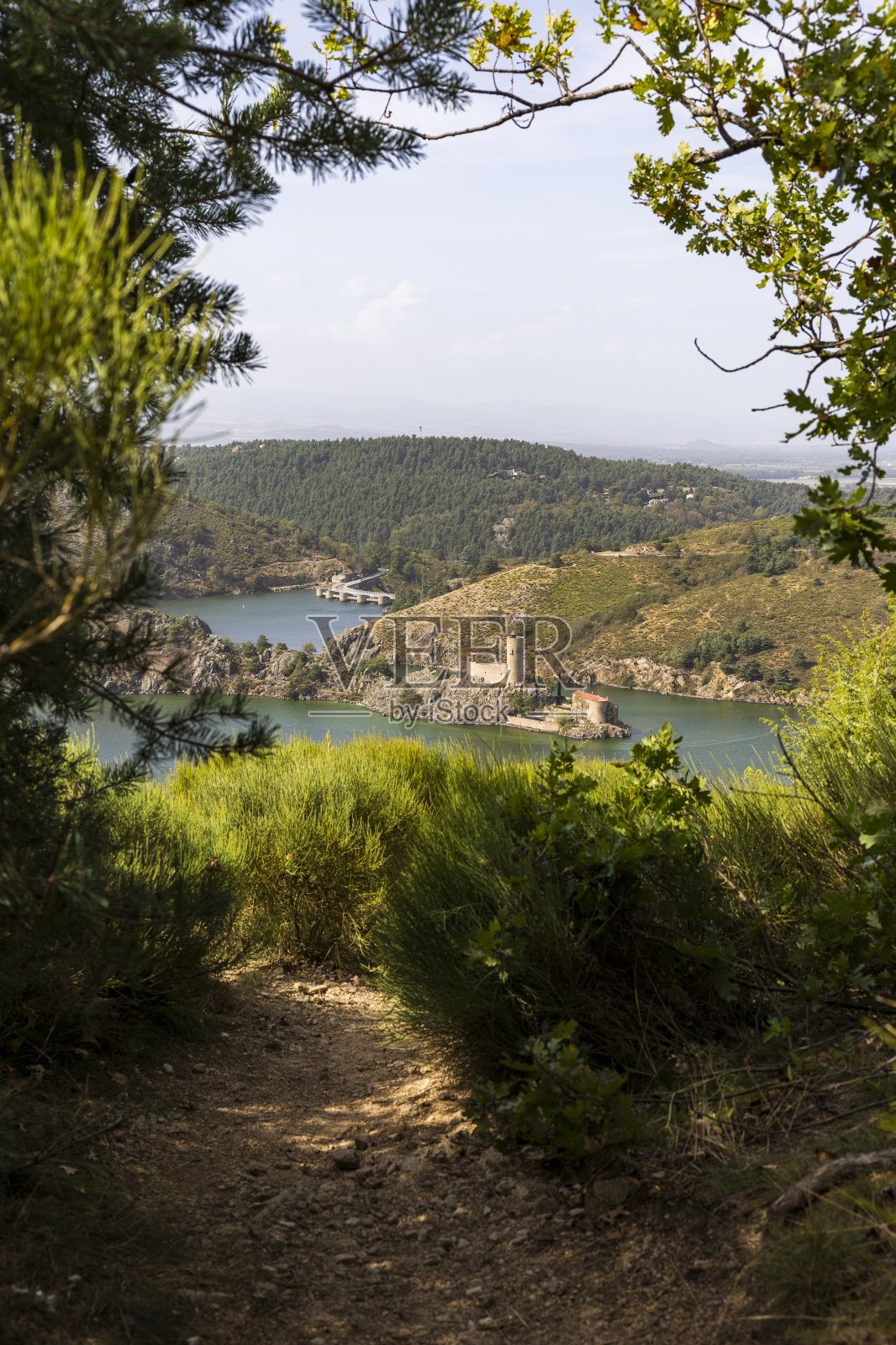在卢瓦尔河上形成的人工湖中央水电站附近的格兰根特城堡照片摄影图片