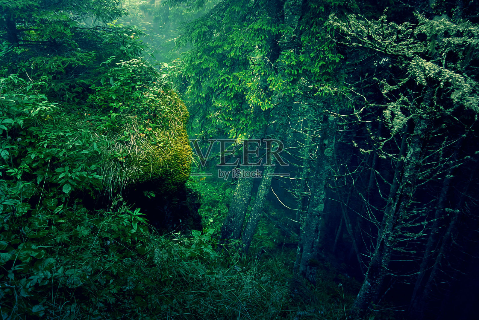 一个穿蓝色衬衫的男人站在一些树和草旁边照片摄影图片