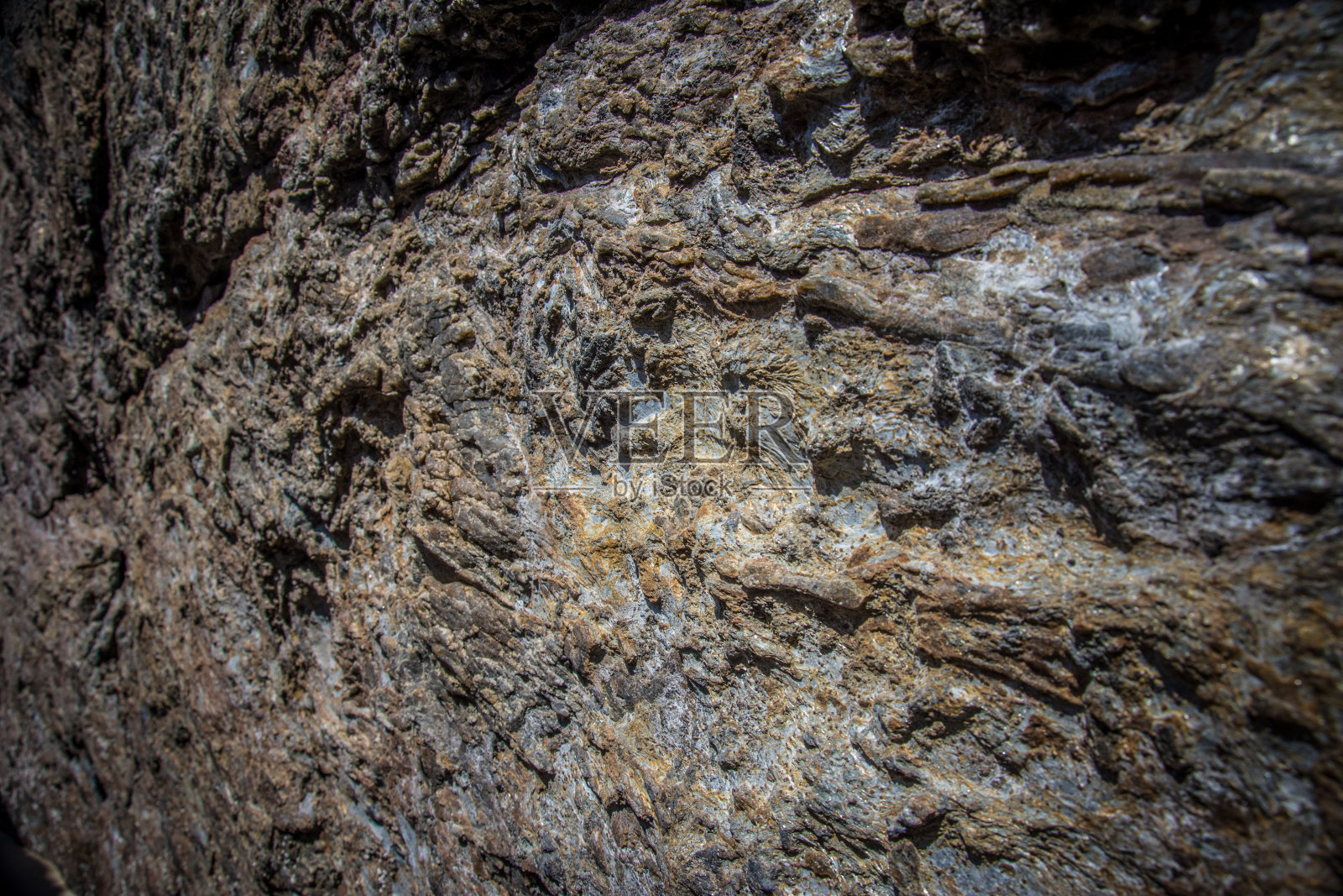 有圆形凸起的岩石照片摄影图片