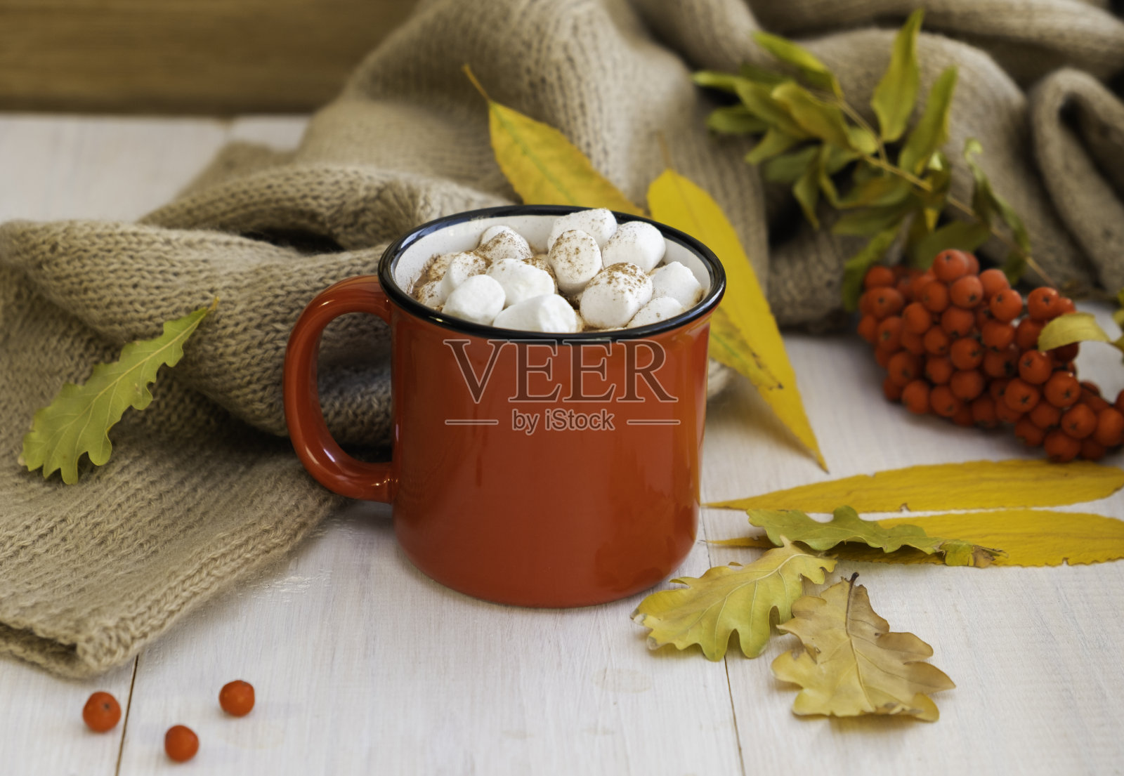红色的可可杯，黄色的叶子和肉桂，在浅色的背景下。秋天的概念照片摄影图片