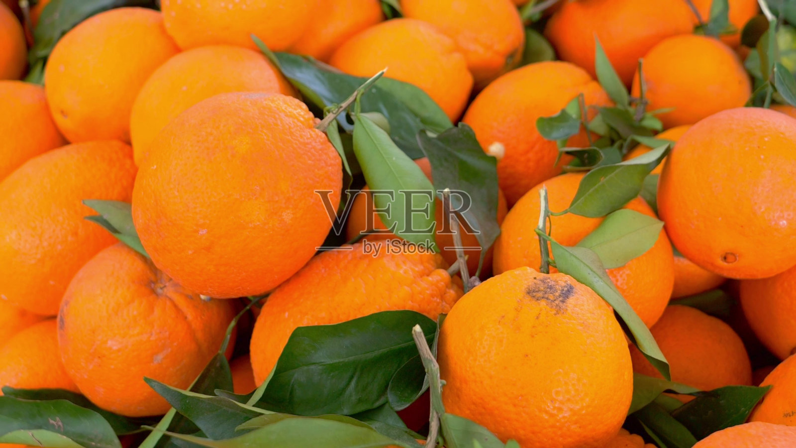 市场上叶子绿叶大的桔子，属柑橘类水果，过敏原强，健康营养。照片摄影图片