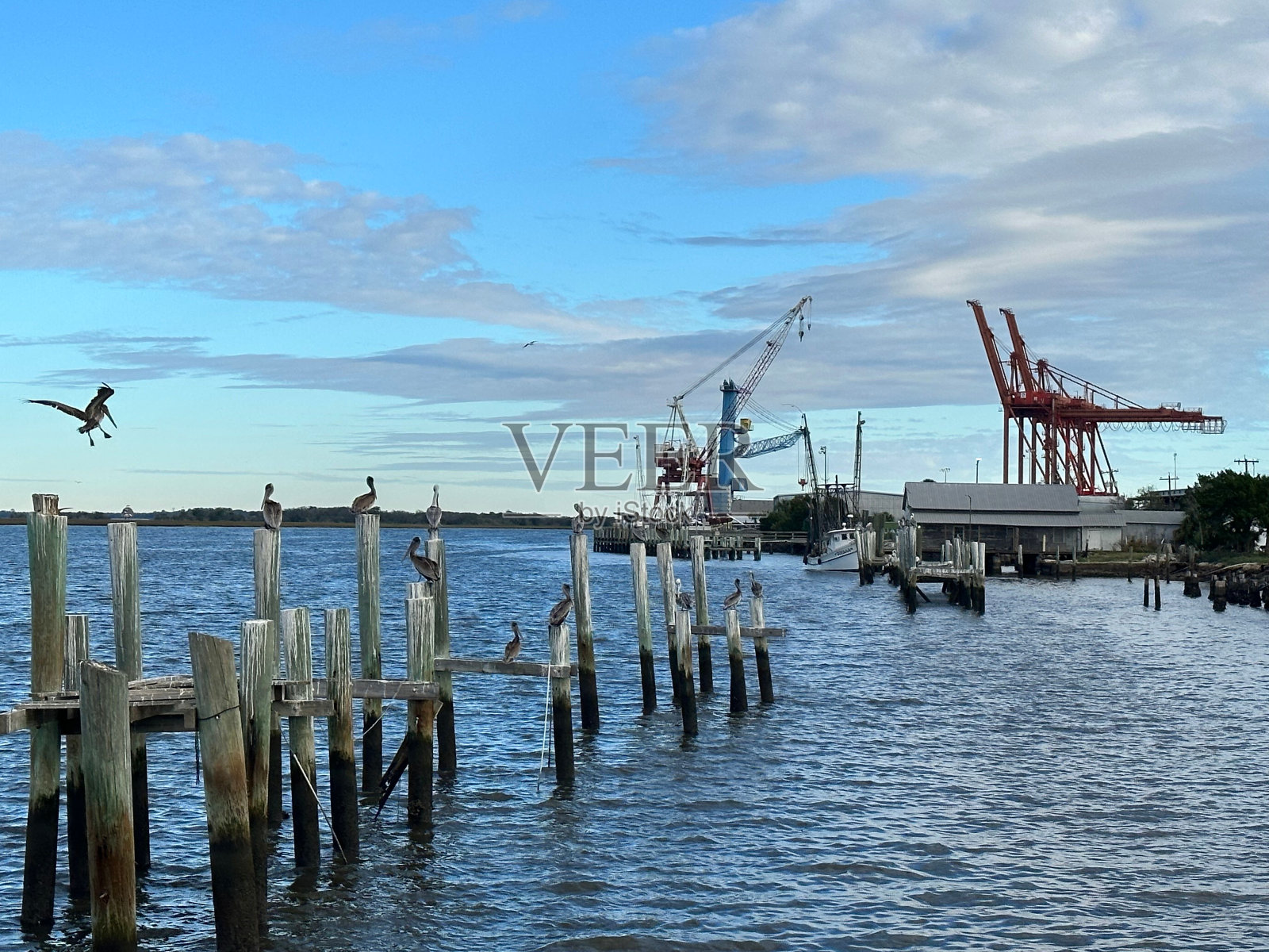 田园诗般的码头，一只小鸟栖息在上面，背景是几艘船照片摄影图片