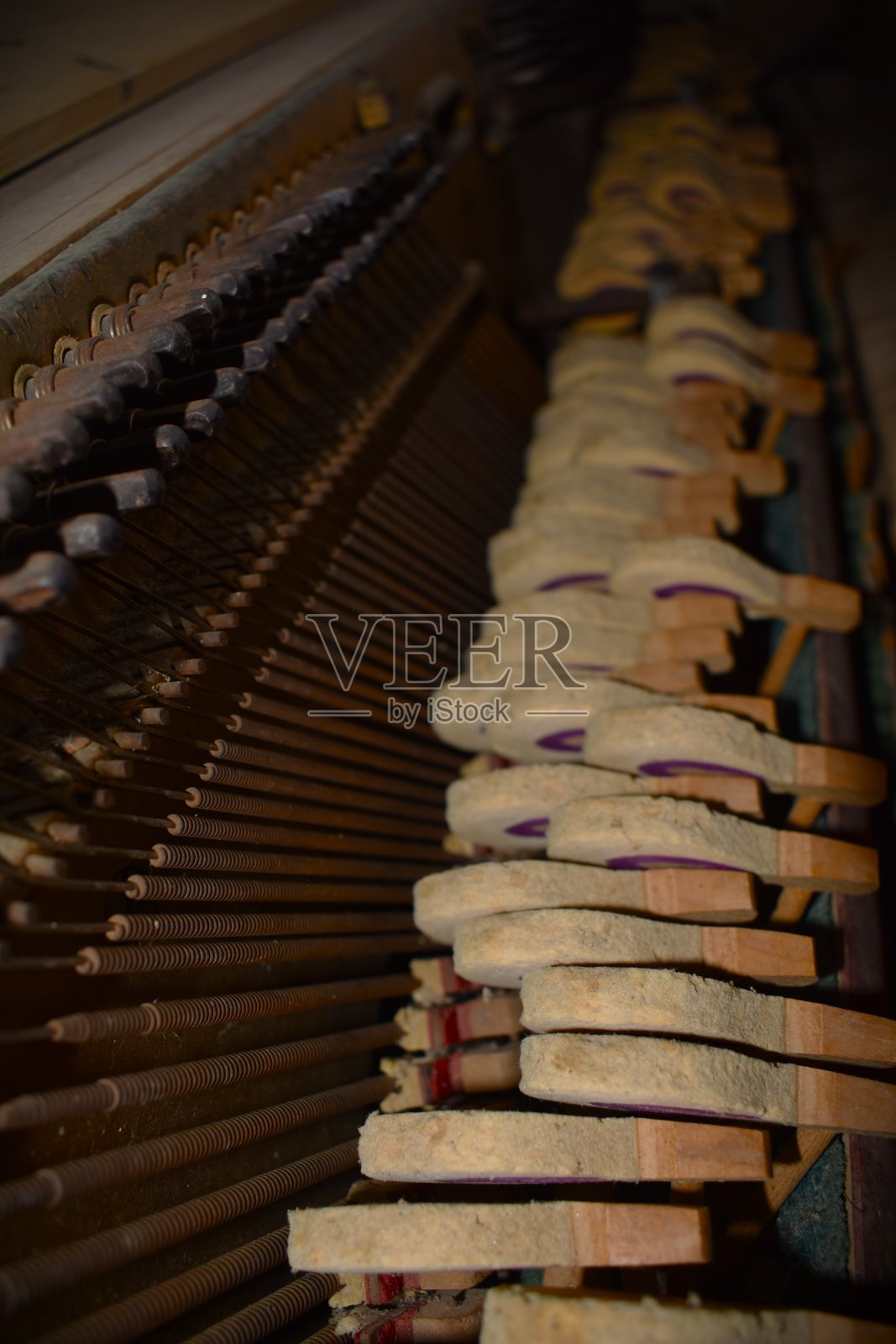 一架废弃钢琴的内部照片摄影图片