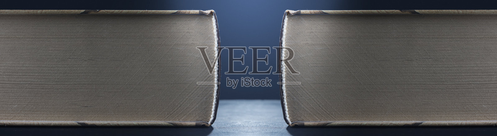 灰色背景上的两本相同的大部头书。侧视图。照片摄影图片