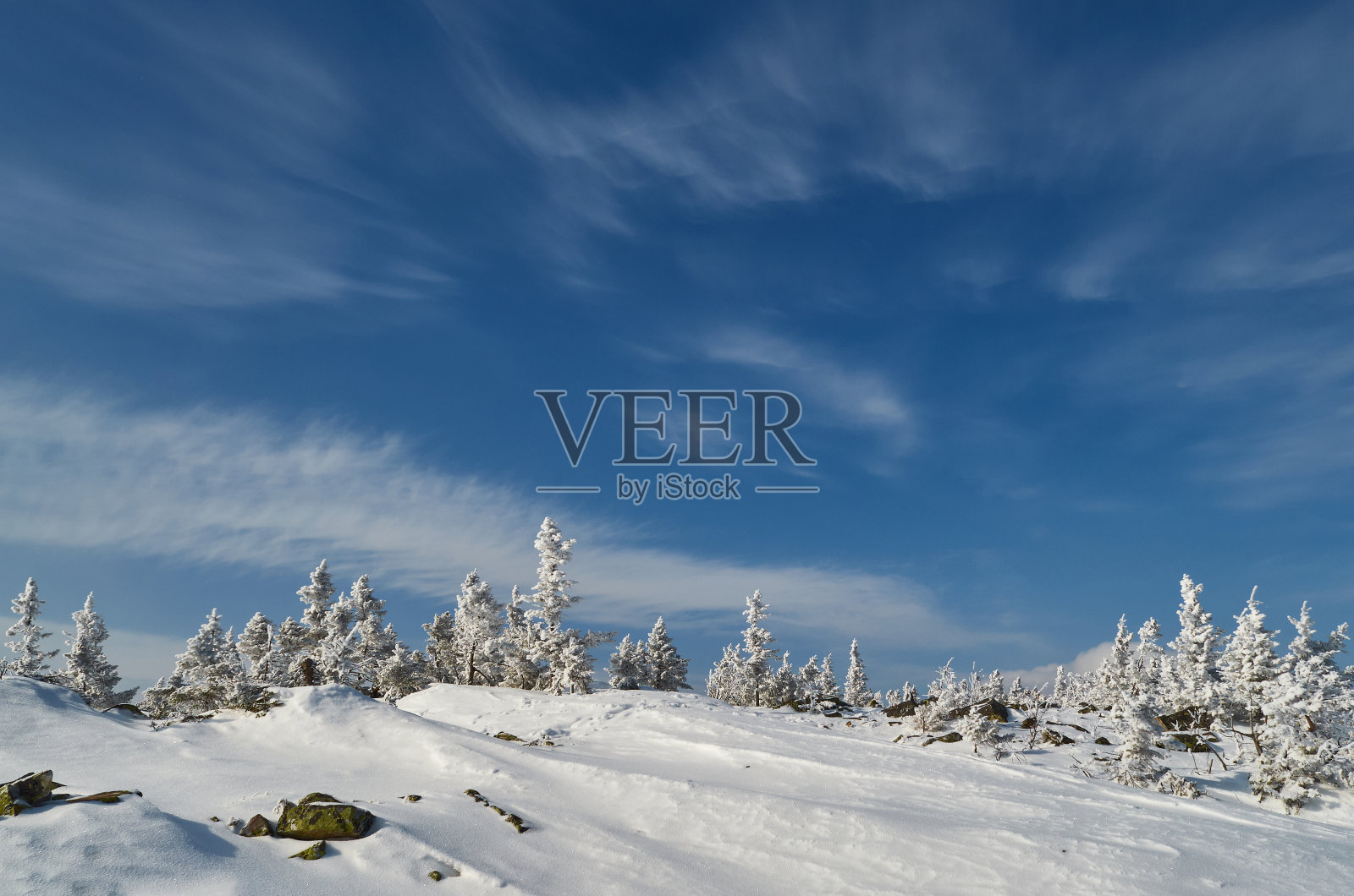 冬天雪覆盖了山，雪覆盖了树照片摄影图片