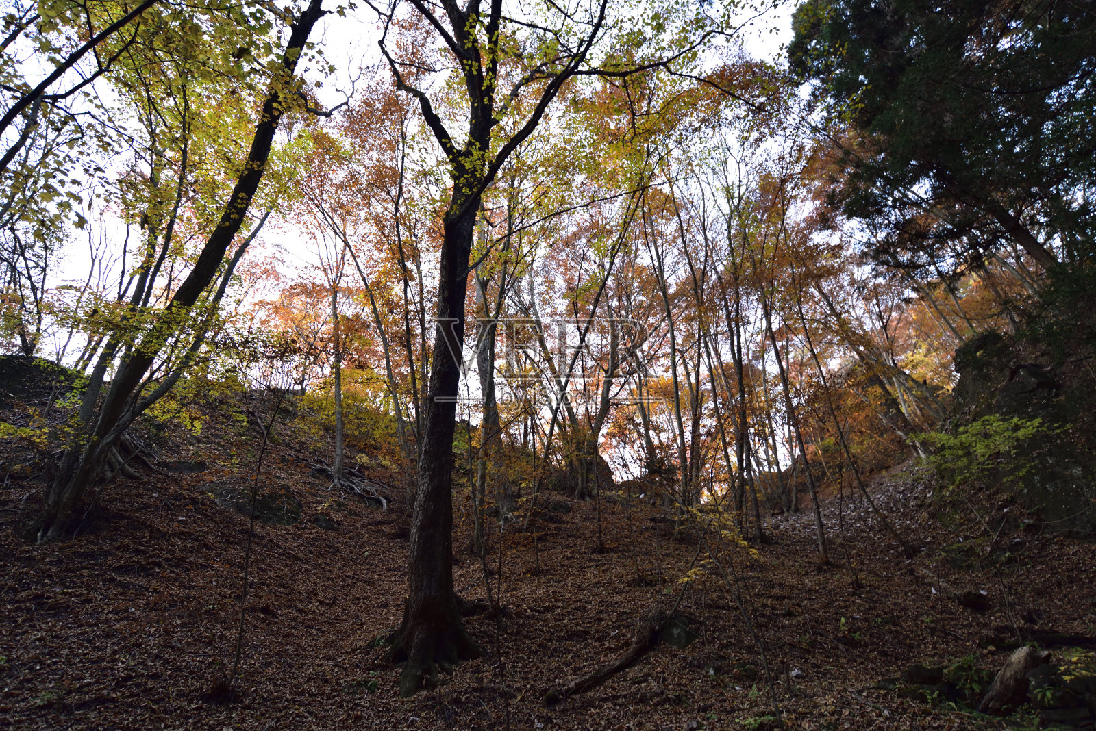 攀登岩壁山，群马县，日本照片摄影图片