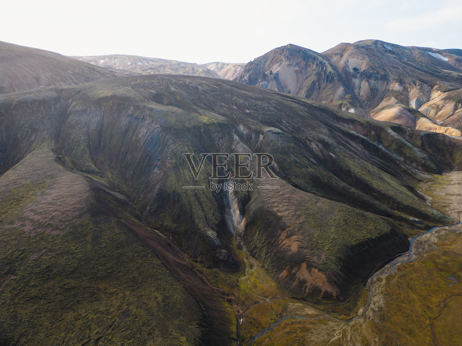 华丽的脊照片摄影图片