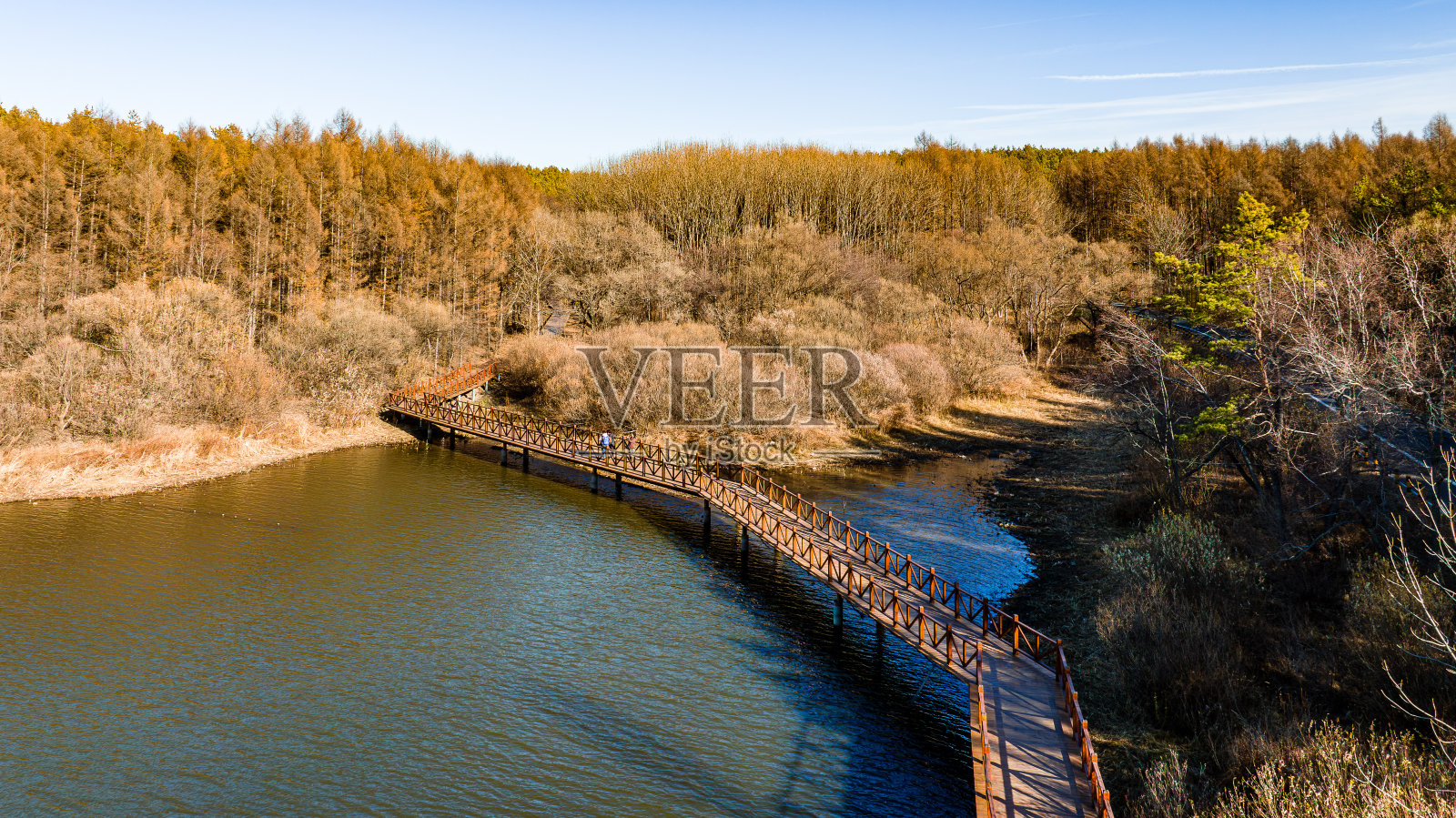 中国长春净月潭国家森林公园的秋景照片摄影图片