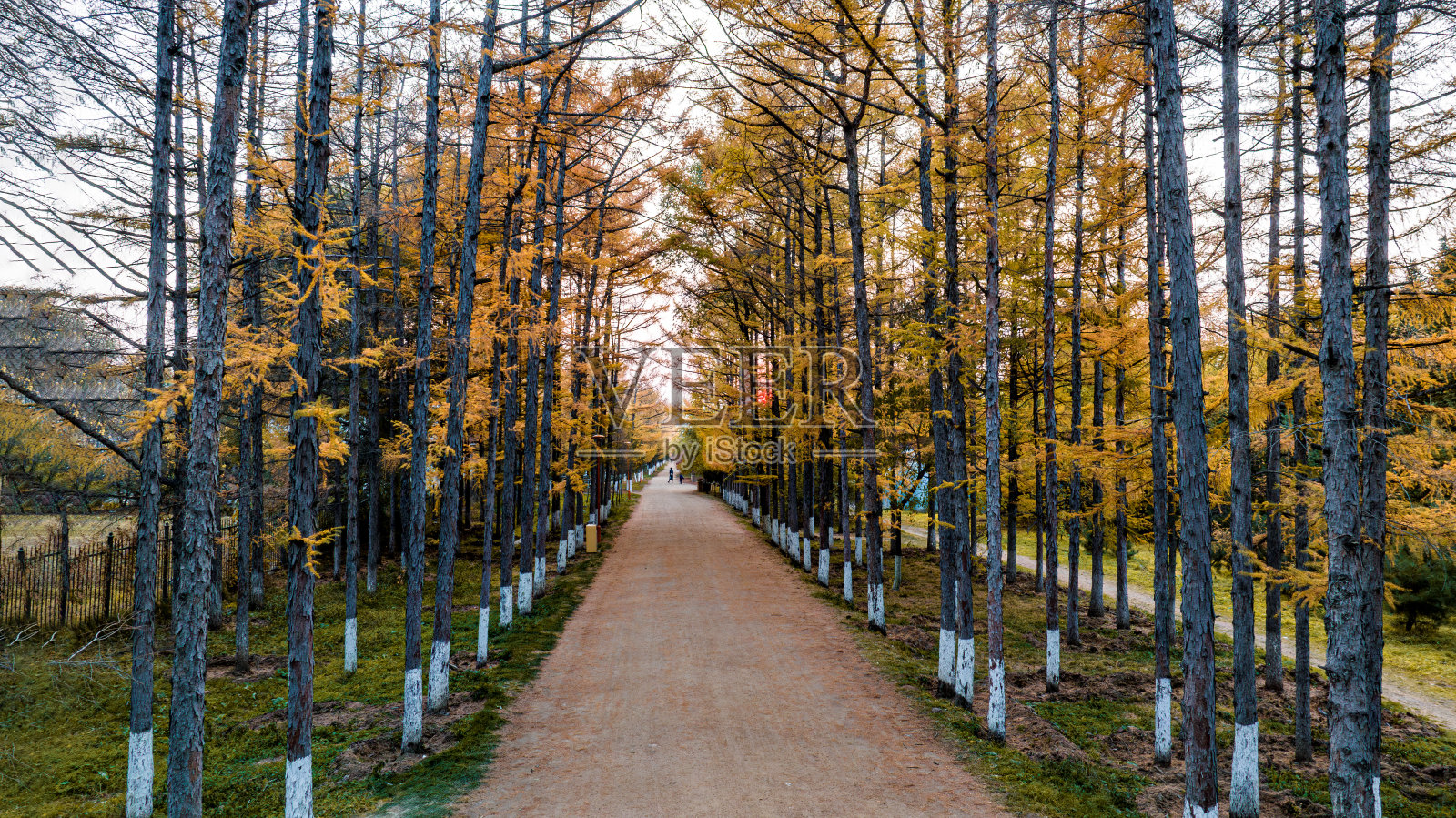 中国长春白木园秋景照片摄影图片