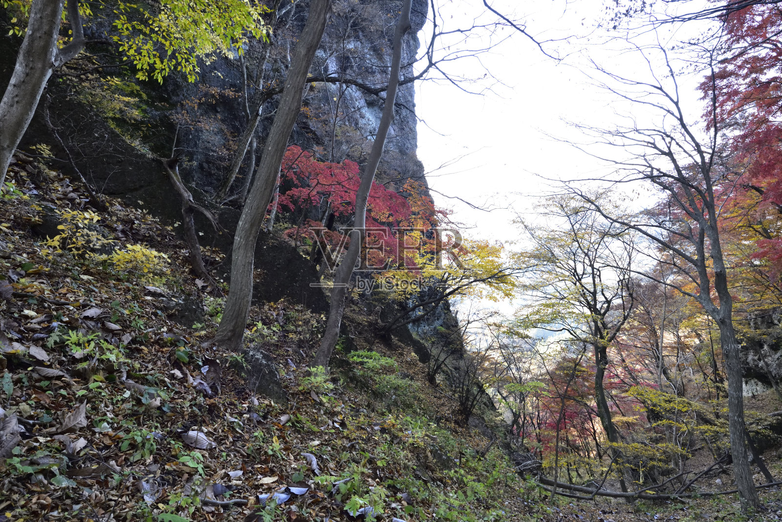 攀登岩壁山，群马县，日本照片摄影图片