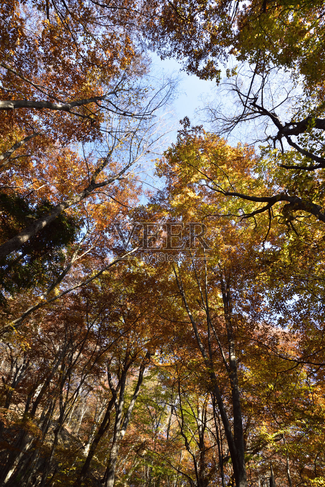 攀登岩壁山，群马县，日本照片摄影图片