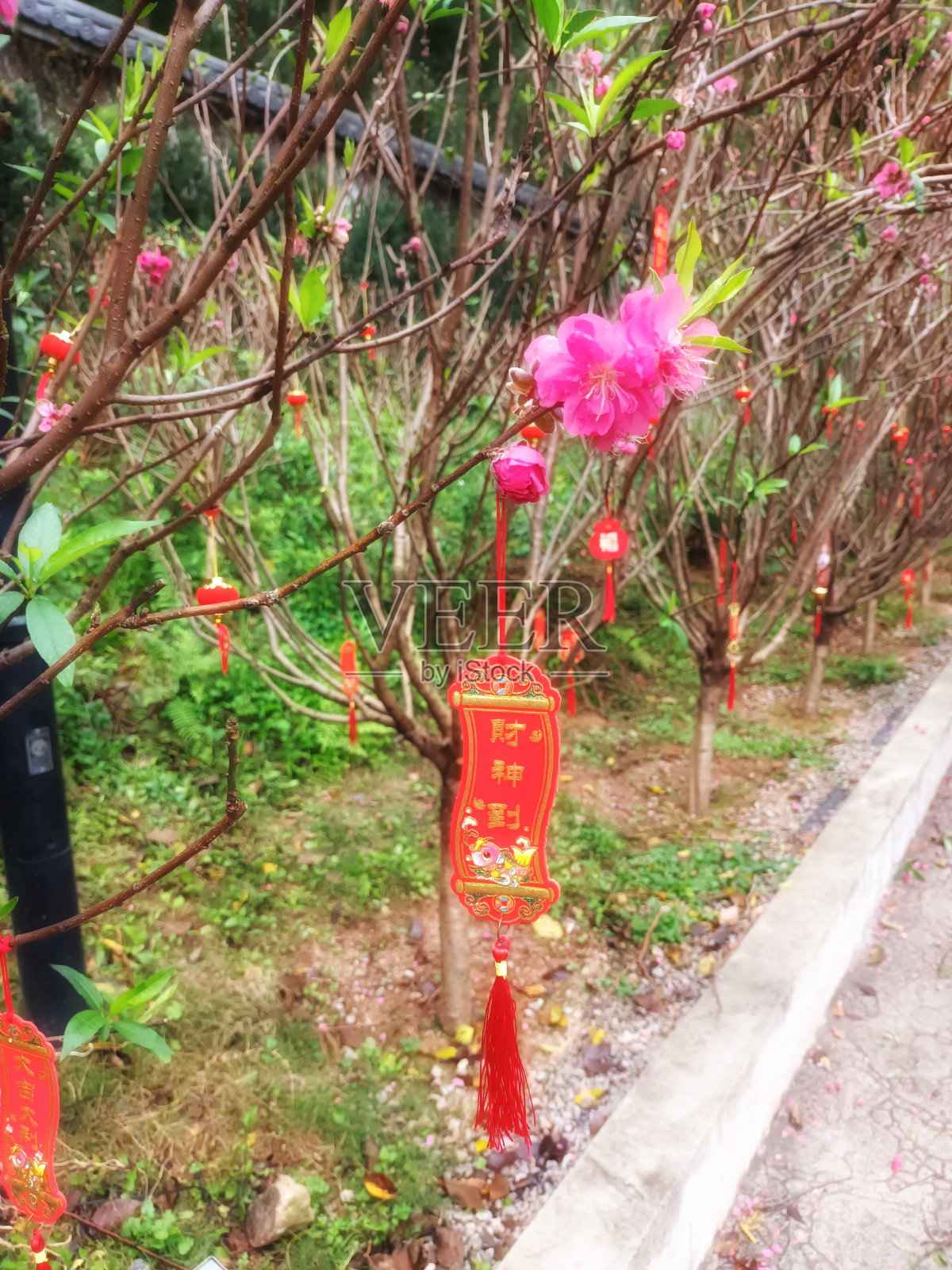 财神要来了照片摄影图片