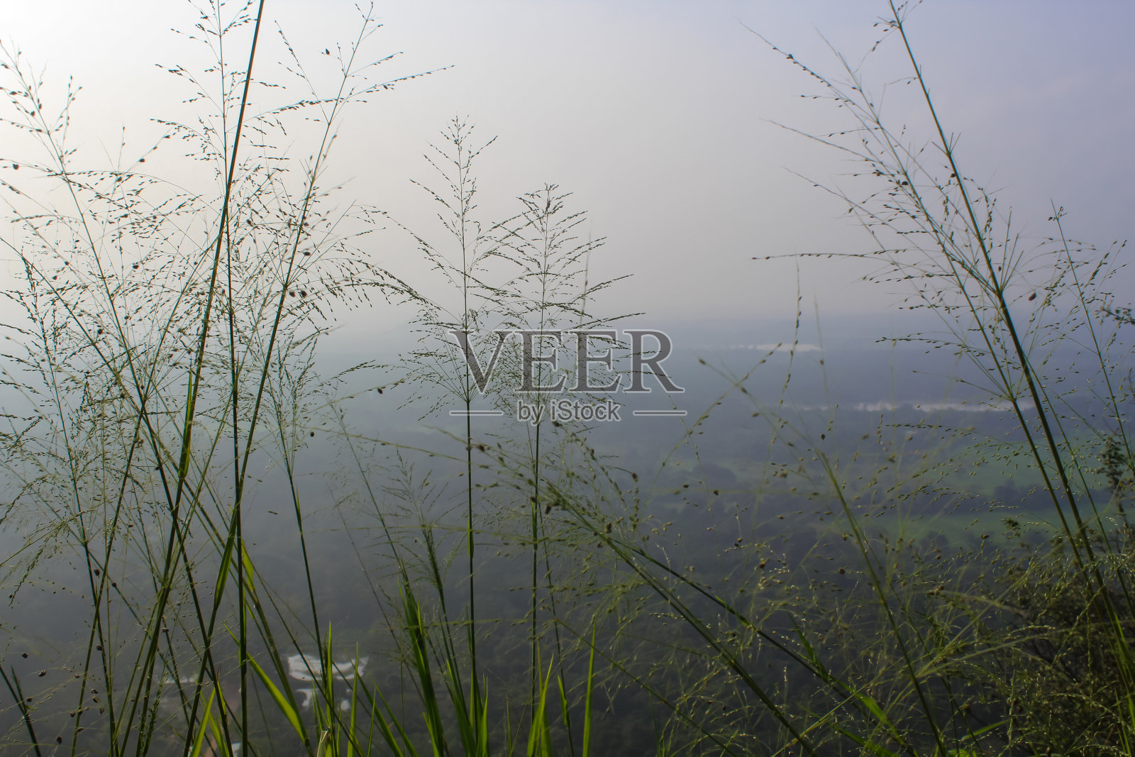 从斯里兰卡锡吉里亚狮子山要塞眺望。照片摄影图片