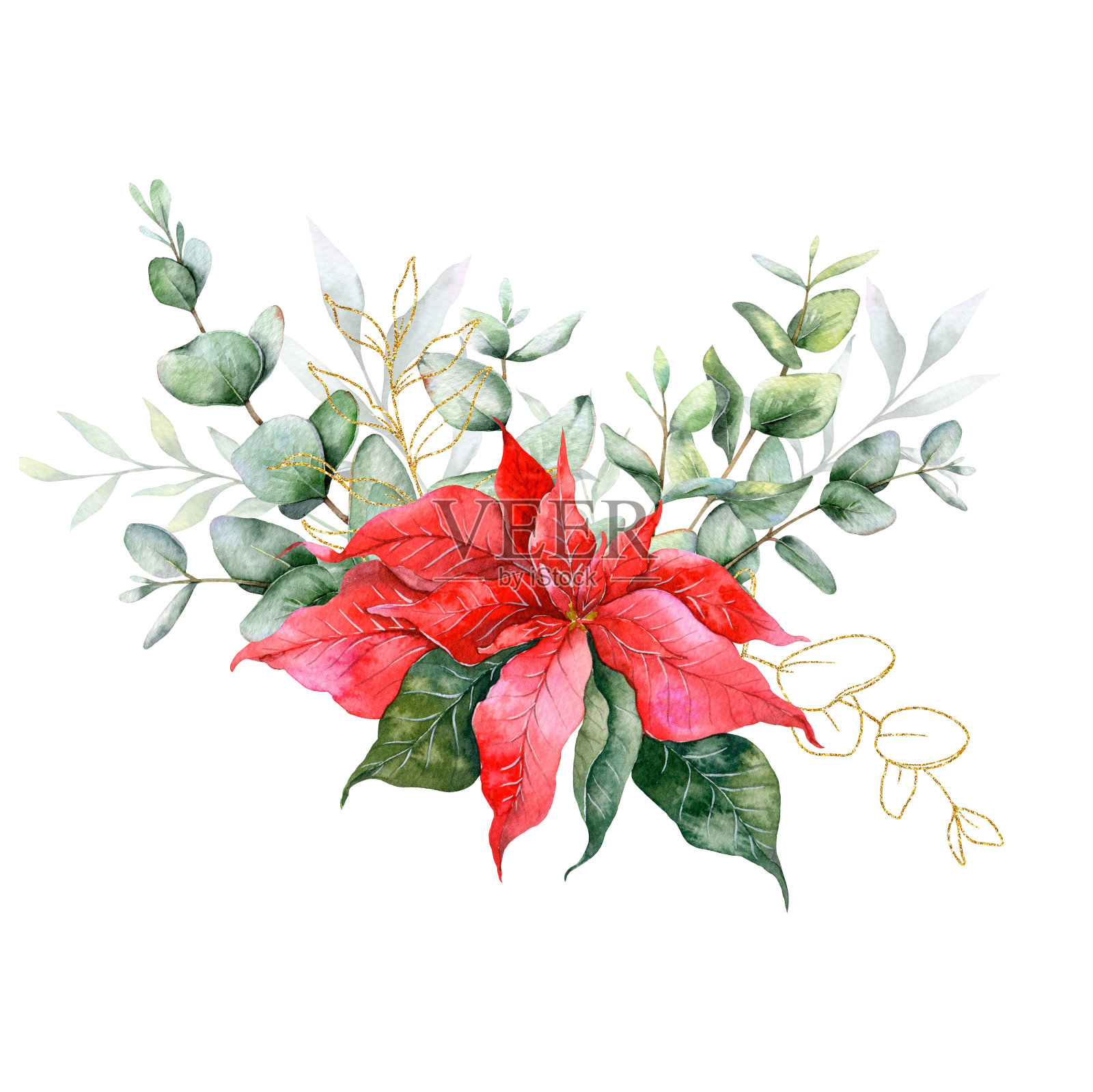 桉树和一品红圣诞花束手绘水彩插图。完美的婚礼请柬，花卉标签，新娘淋浴和花卉贺卡插画图片素材