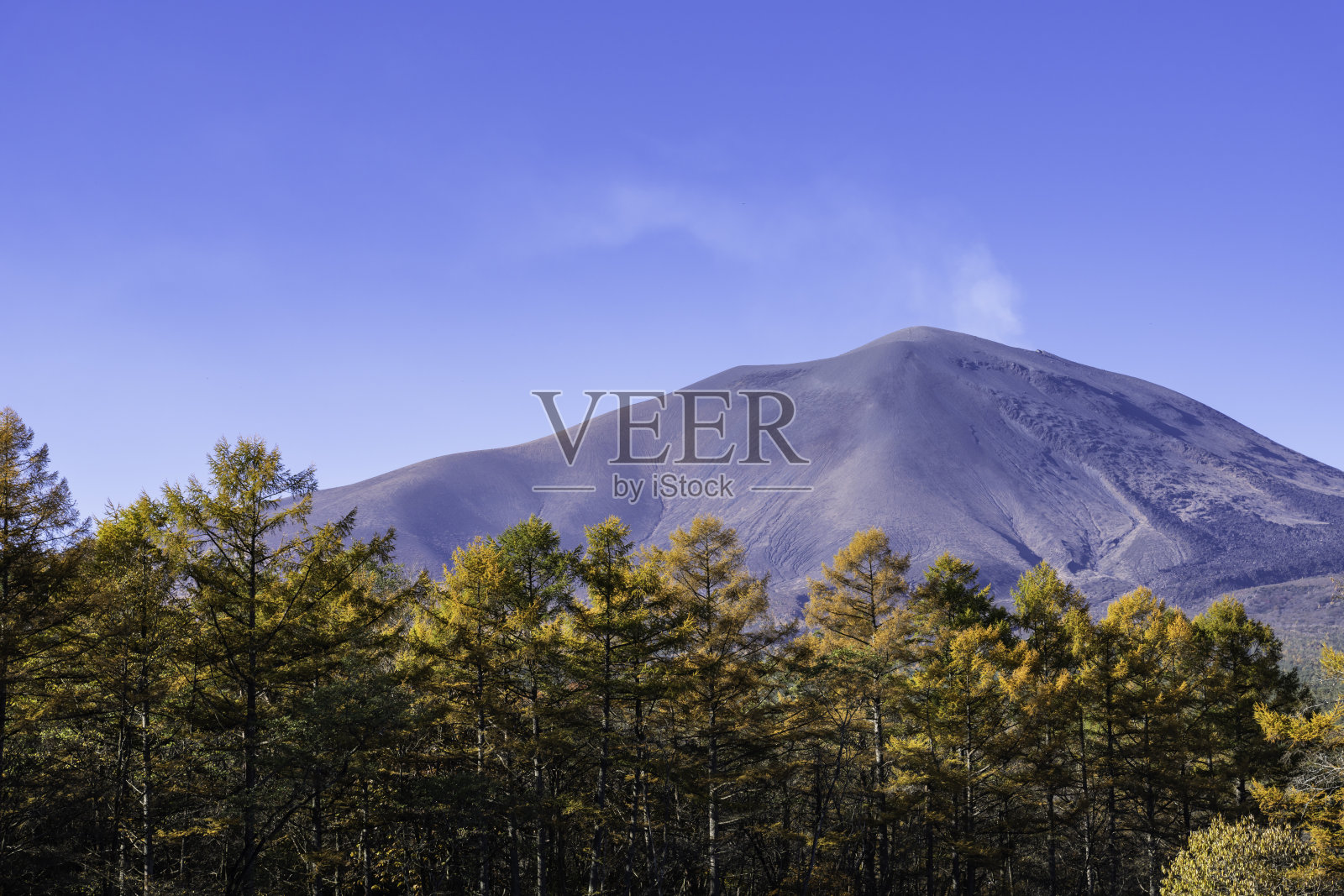 彩色落叶松，浅间山，蓝天照片摄影图片