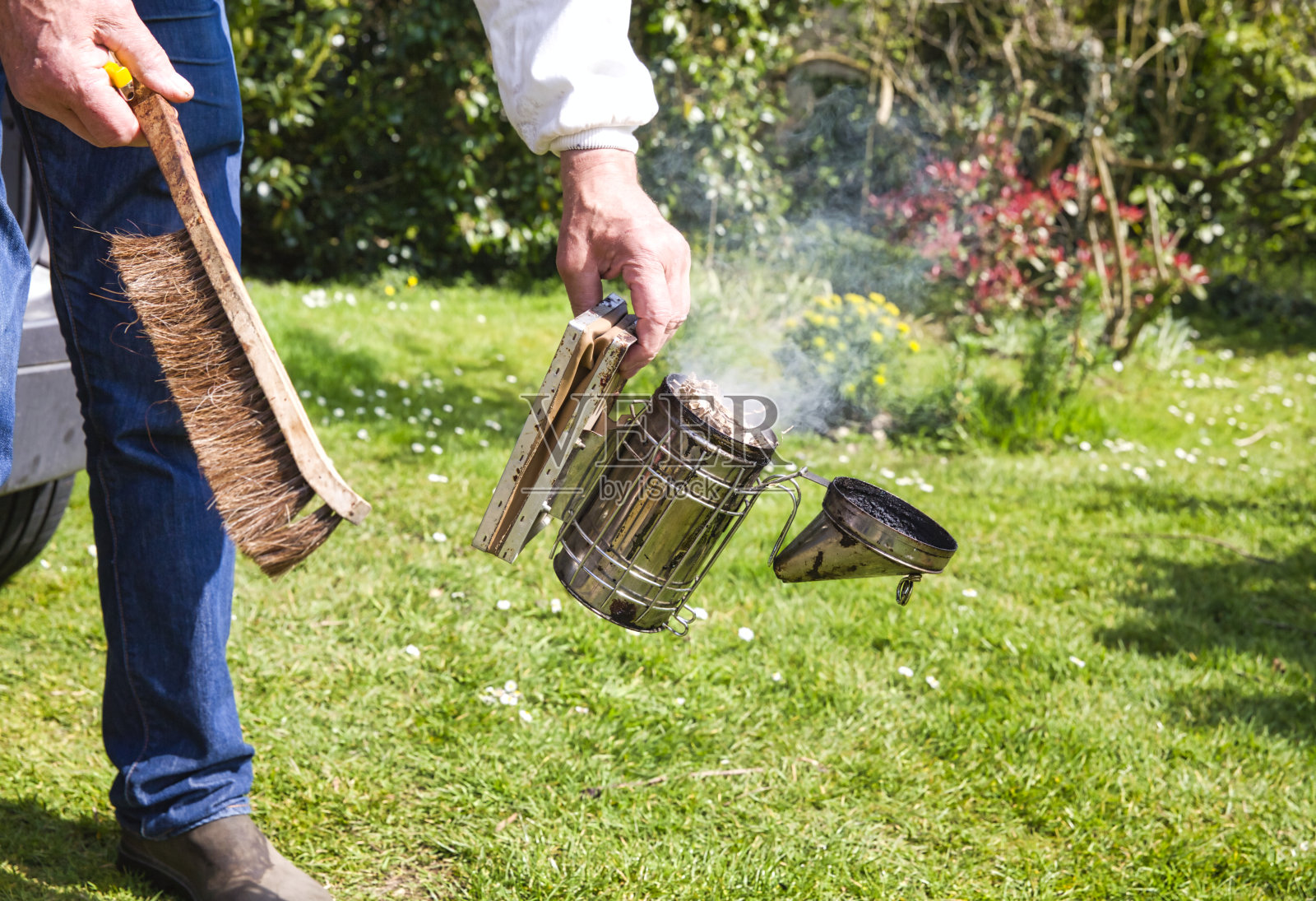 穿着防护服的养蜂人的手在草地上用刷子打开老烟机。照片摄影图片