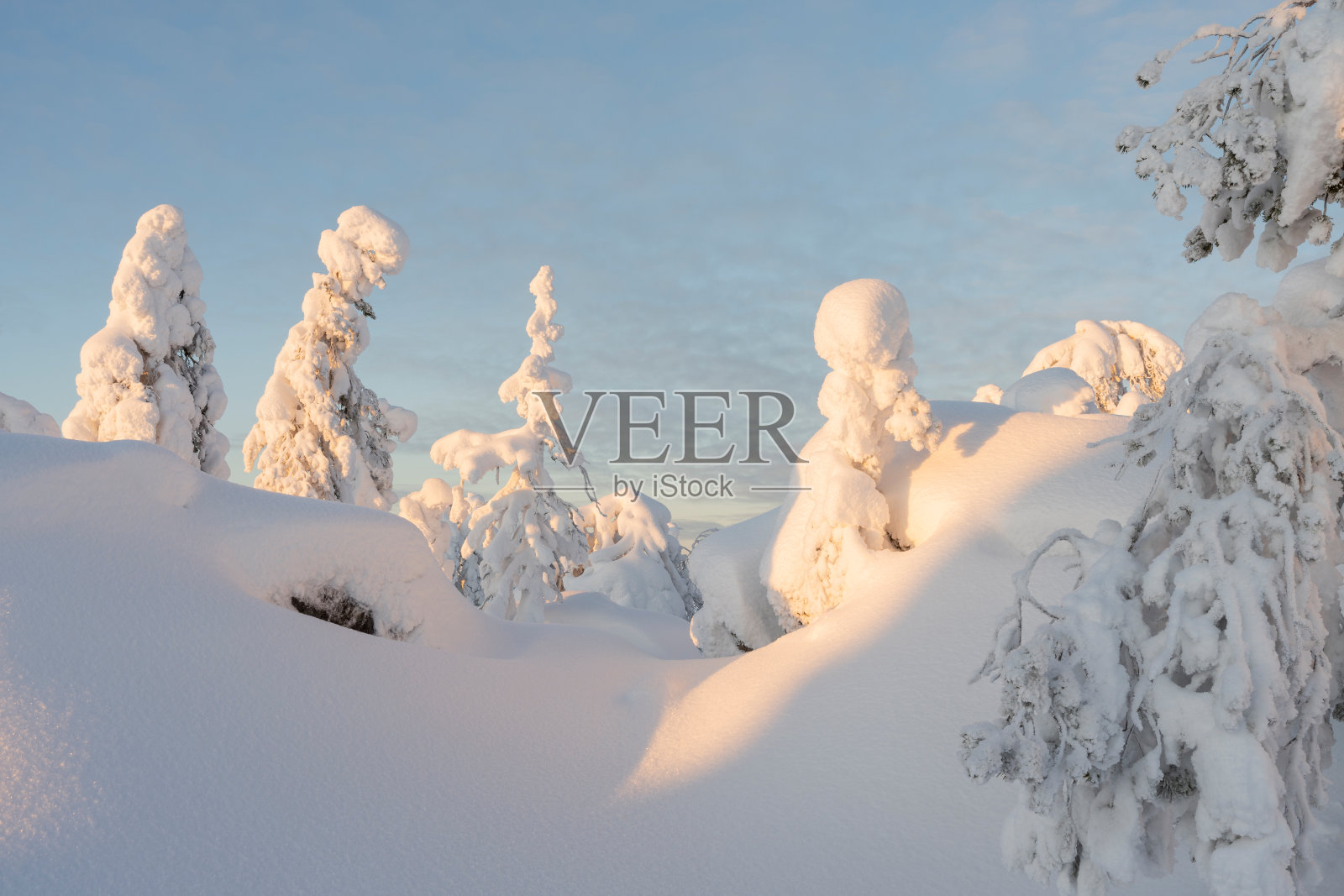 冬季仙境照片摄影图片