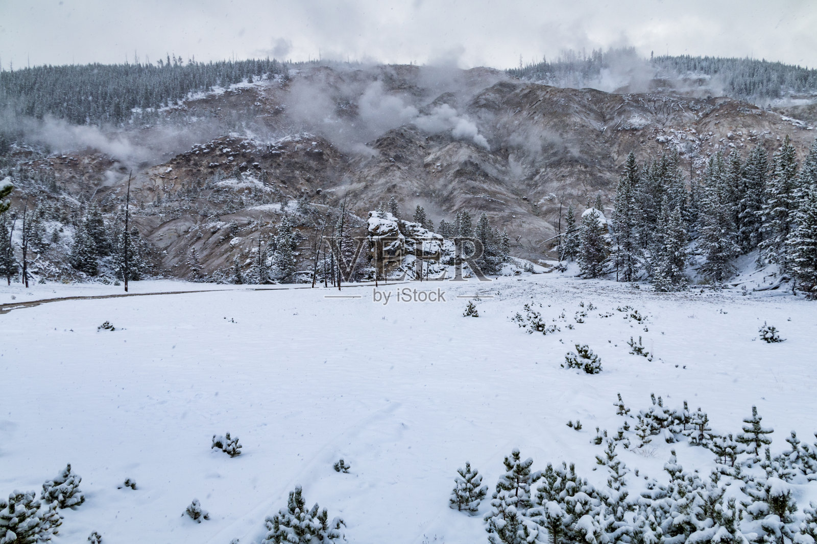 冰雪覆盖的黄石国家公园里冒着热气的火山喷发照片摄影图片