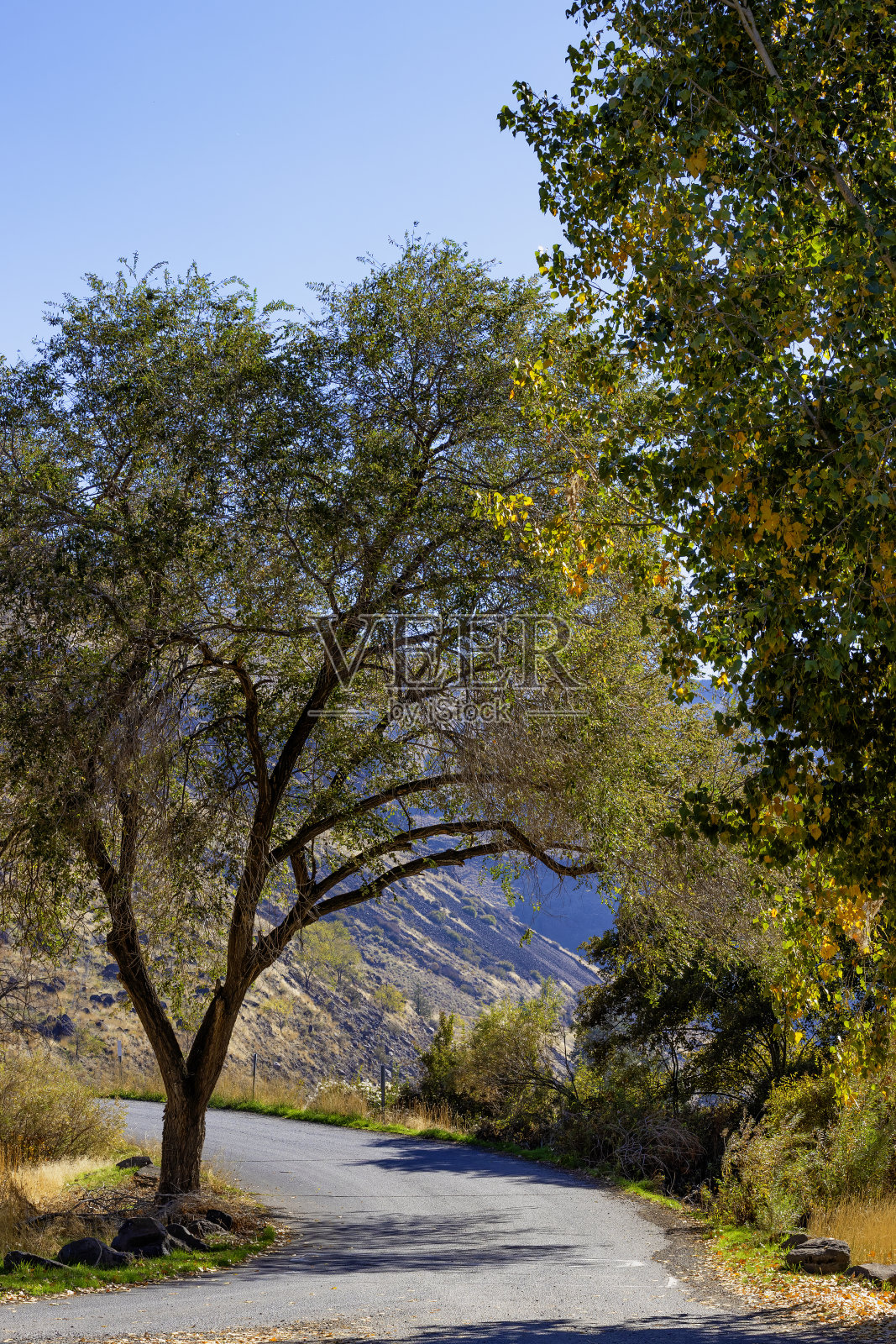 公园路通向美国俄勒冈州沃姆斯普林斯的26号高速公路照片摄影图片