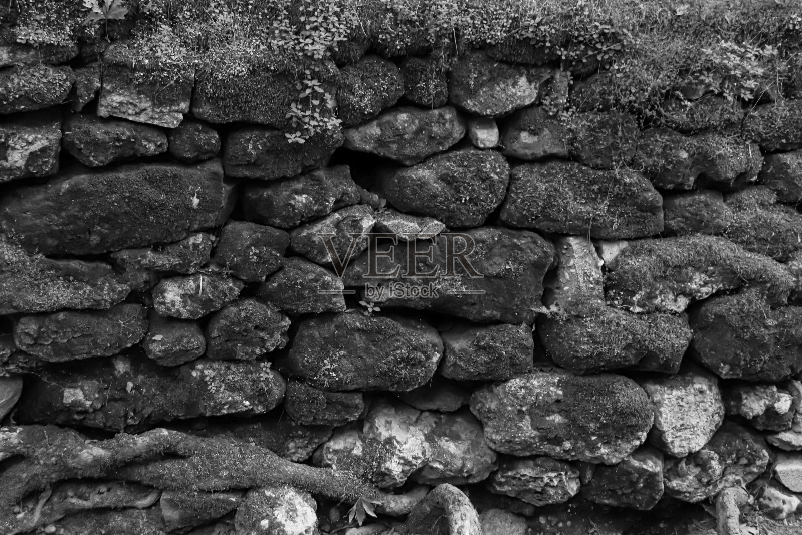 抽象的背景纹理的石头石墙覆盖着苔藓在黑色和白色照片摄影图片