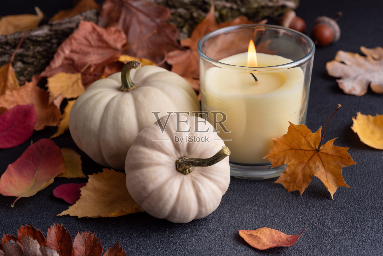 小的装饰南瓜和秋天的落叶照片摄影图片