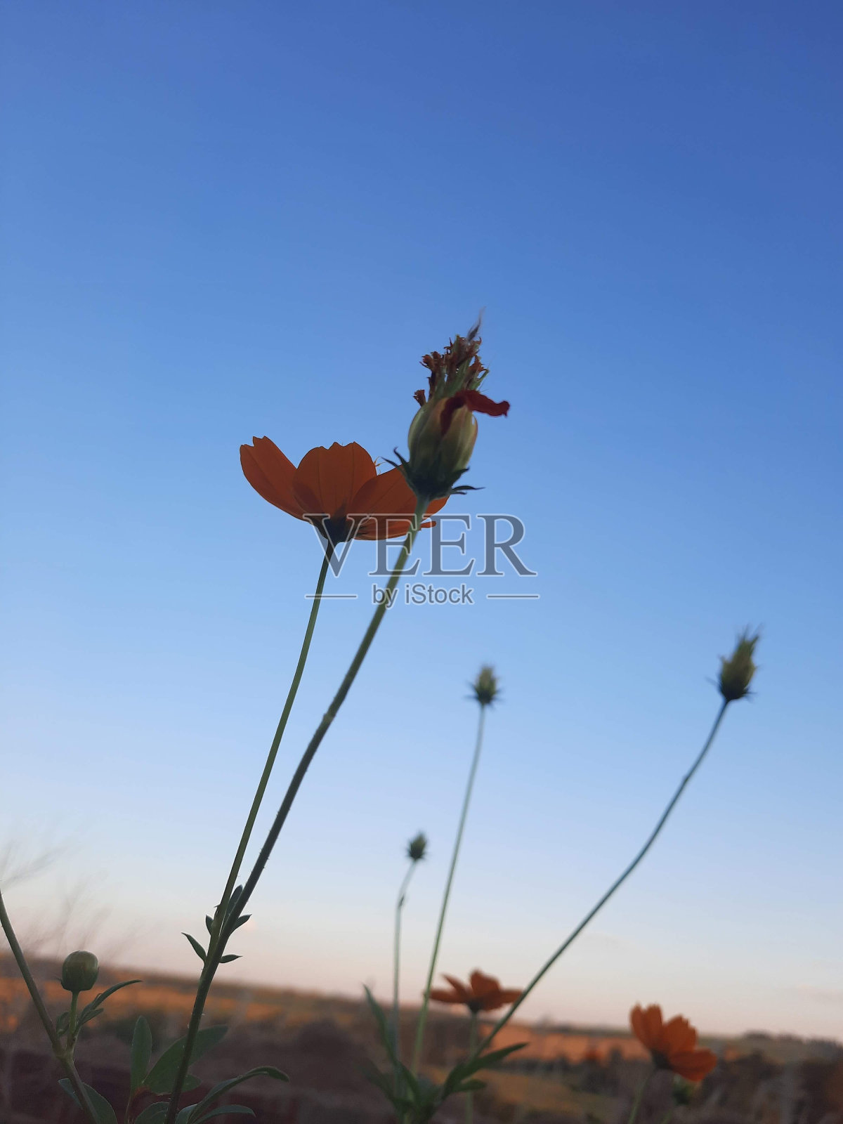 小宇宙照片摄影图片