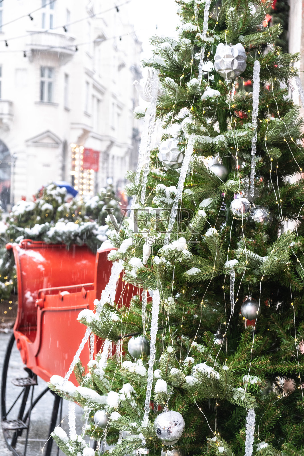利沃夫大街上的绿色圣诞树。节日的背景照片摄影图片
