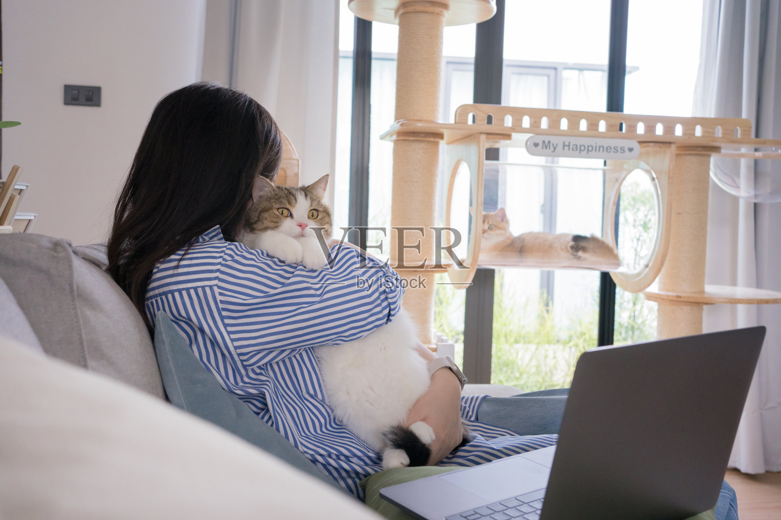 宠物爱好者的概念由亚洲妇女，她工作和她的猫玩照片摄影图片