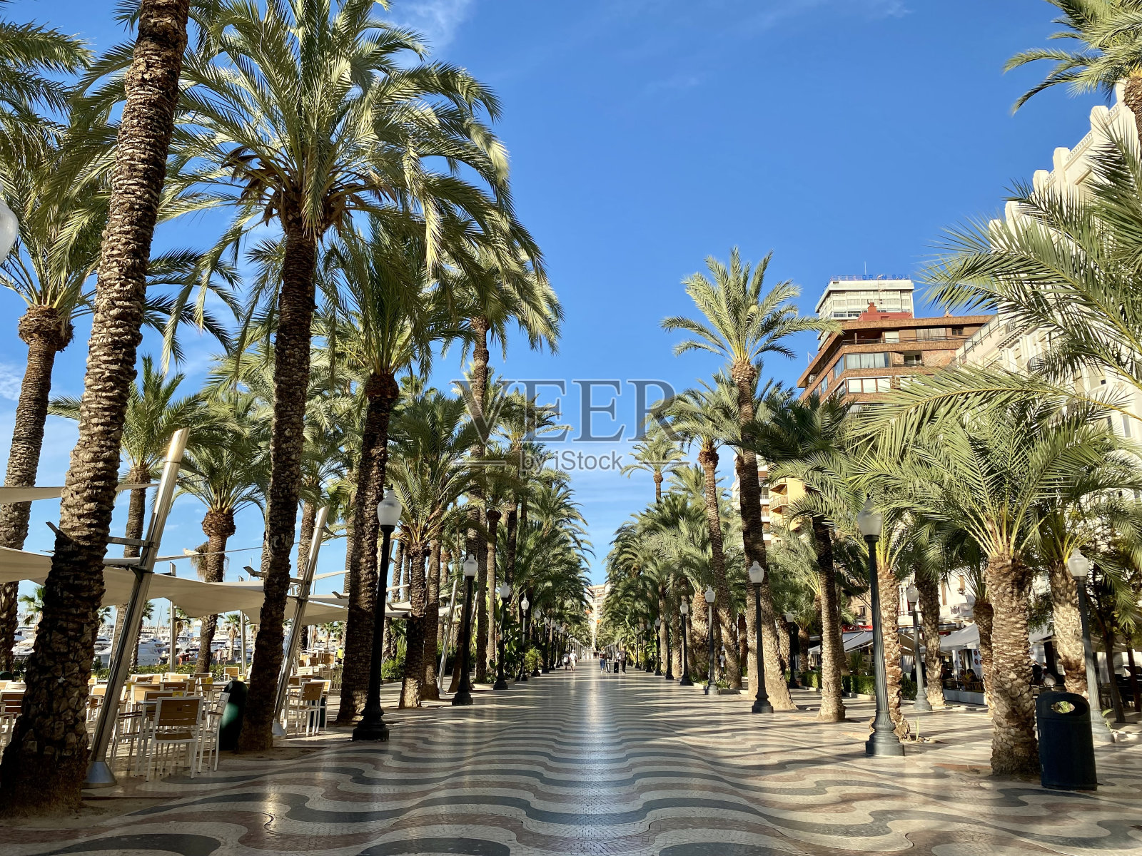 西班牙-阿利坎特-西班牙大道照片摄影图片