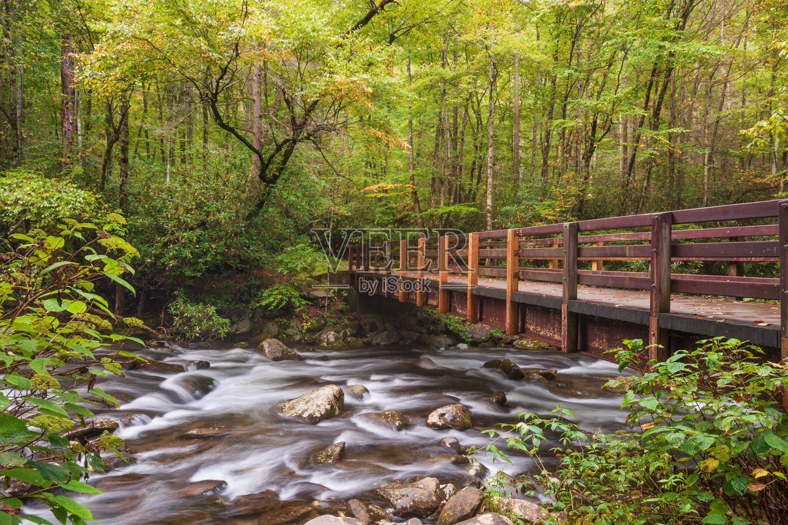 大烟山国家公园的鸽子炉中的小鸽子河照片摄影图片