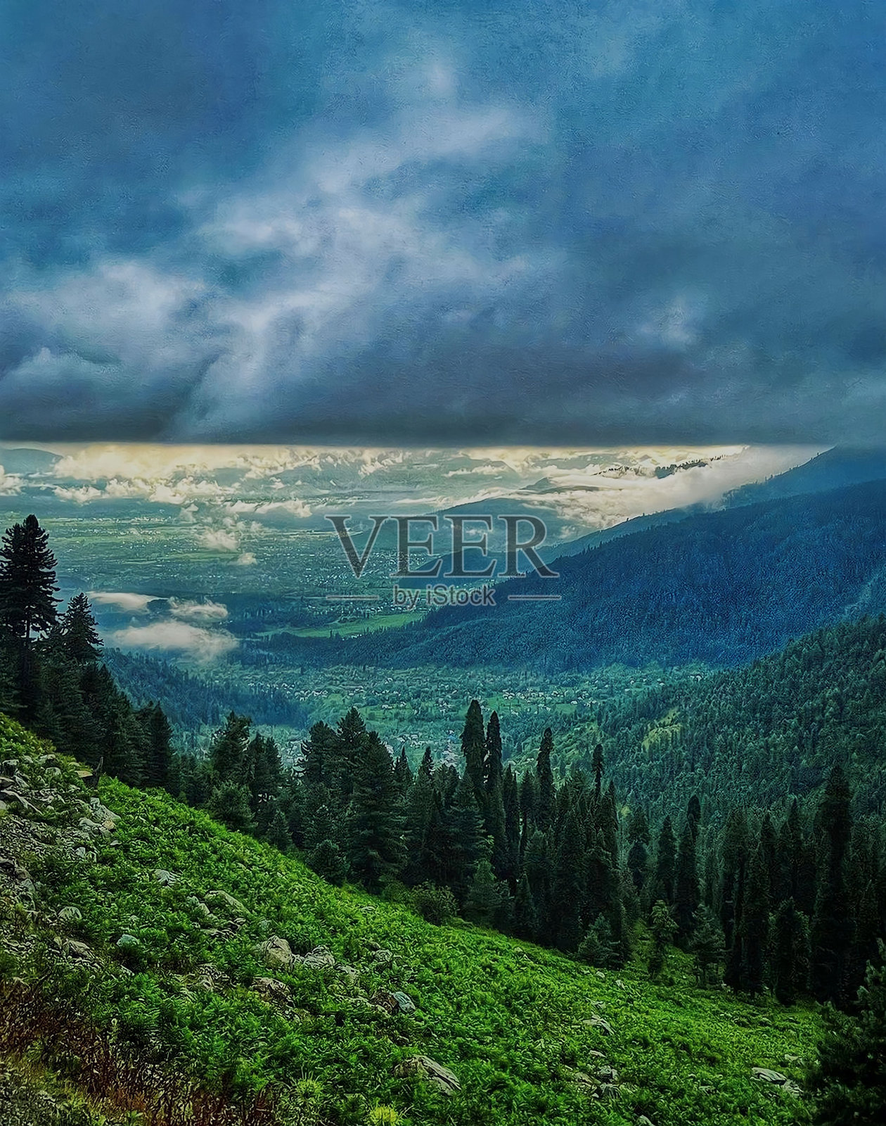 天空松树照片摄影图片