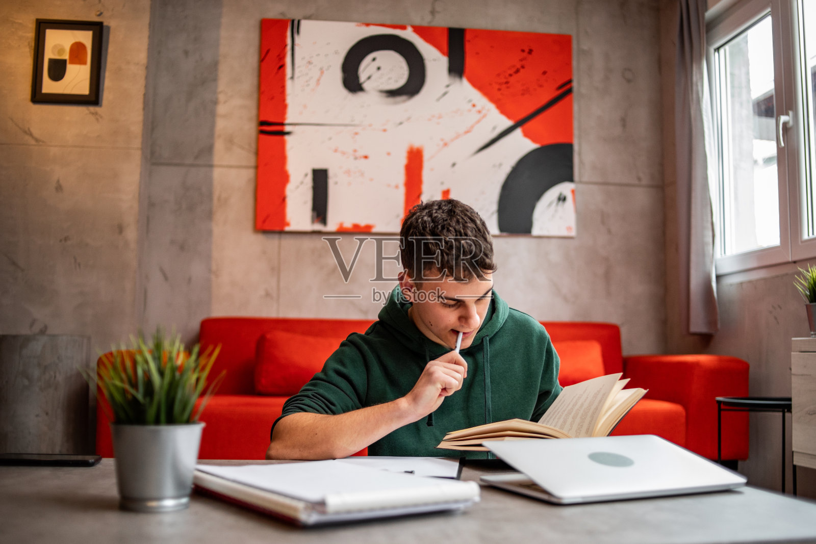 一个十几岁的学生正在家里学习照片摄影图片