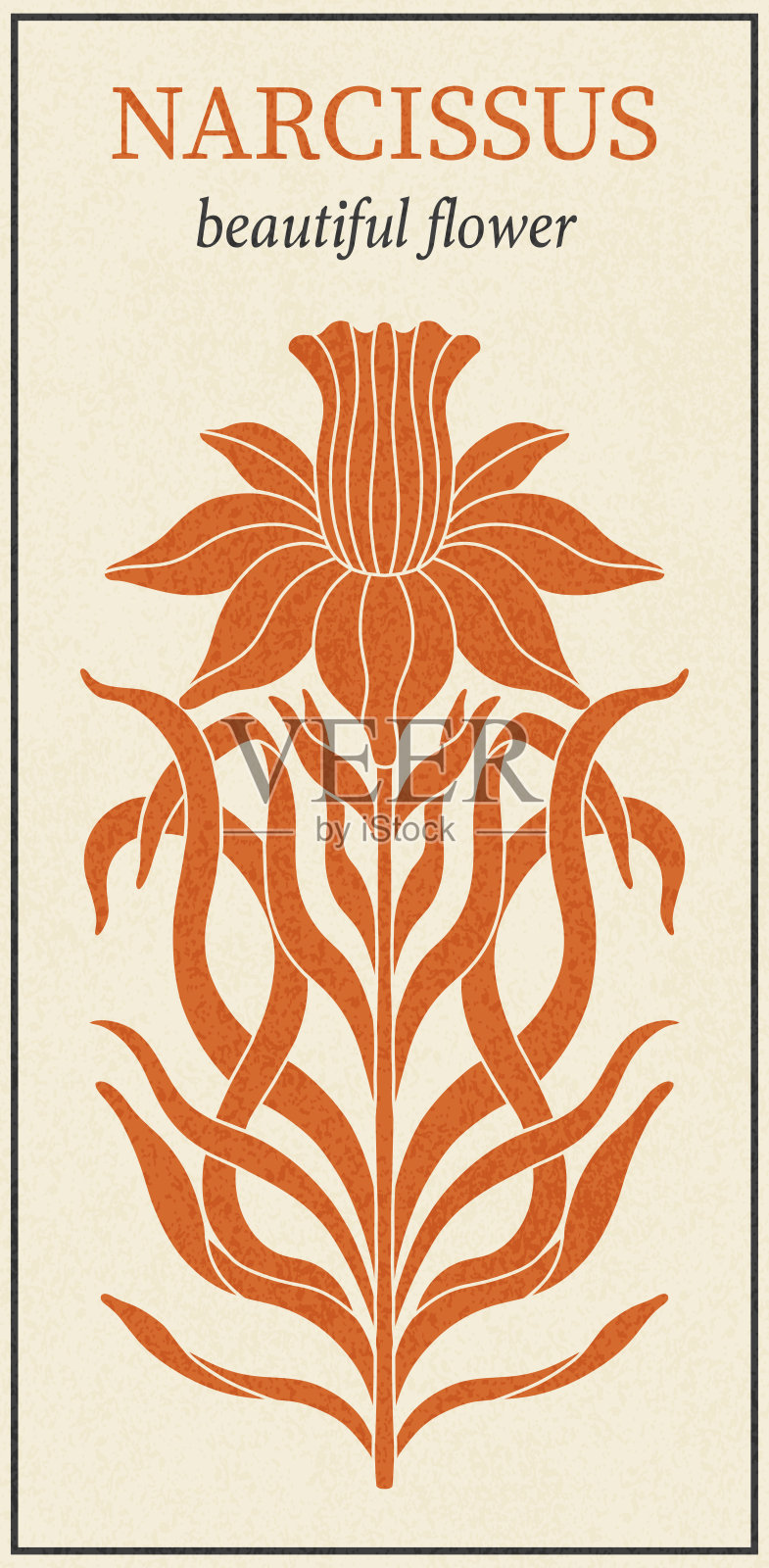 1920-1930年新艺术时期的花水仙植物。手绘水仙在一个复古的风格与编织线，树叶和花朵。插画图片素材