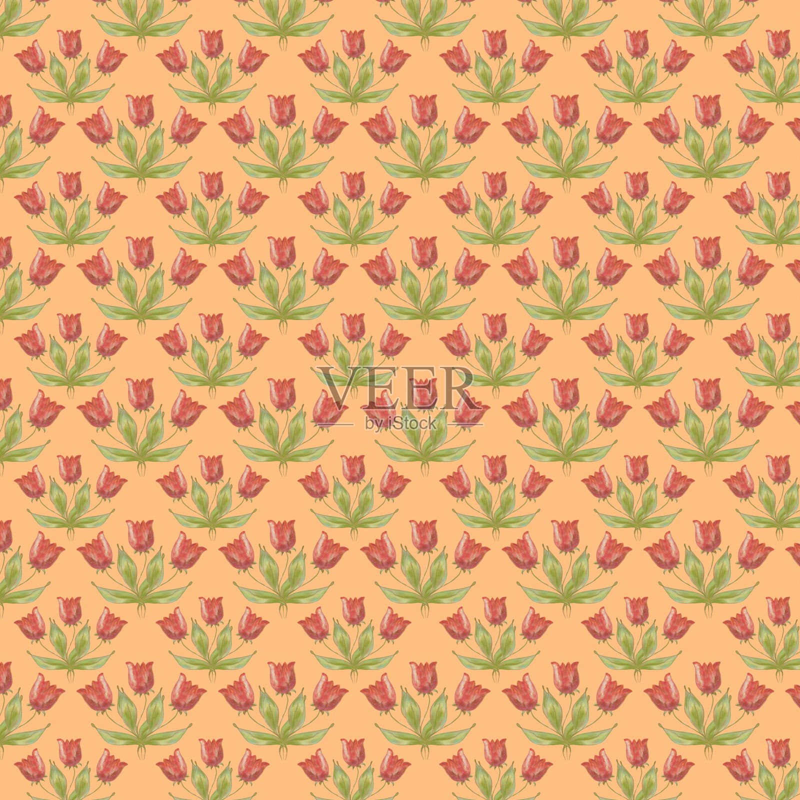 橙色背景上的郁金香绘画插画图片素材
