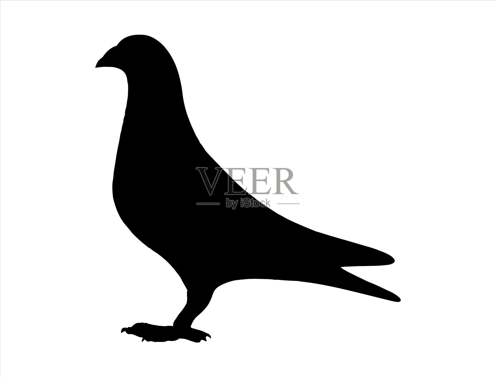 鸽子剪影艺术插画图片素材