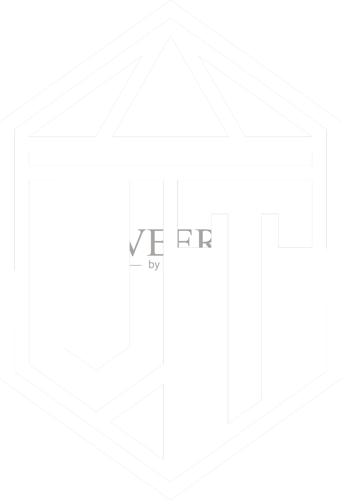 Vt字母标志与字母组合的六角形盾牌形状设计元素图片