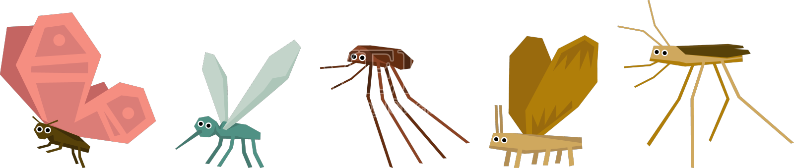 扁虫和可爱的花园爬行动物设计元素图片