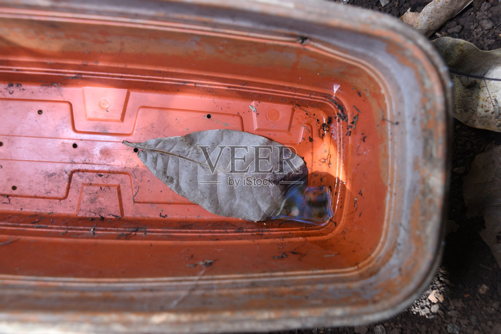 积水孳生场所为登革热基孔肯雅蚊、疟疾、寨卡病毒等传染病污染健康照片摄影图片