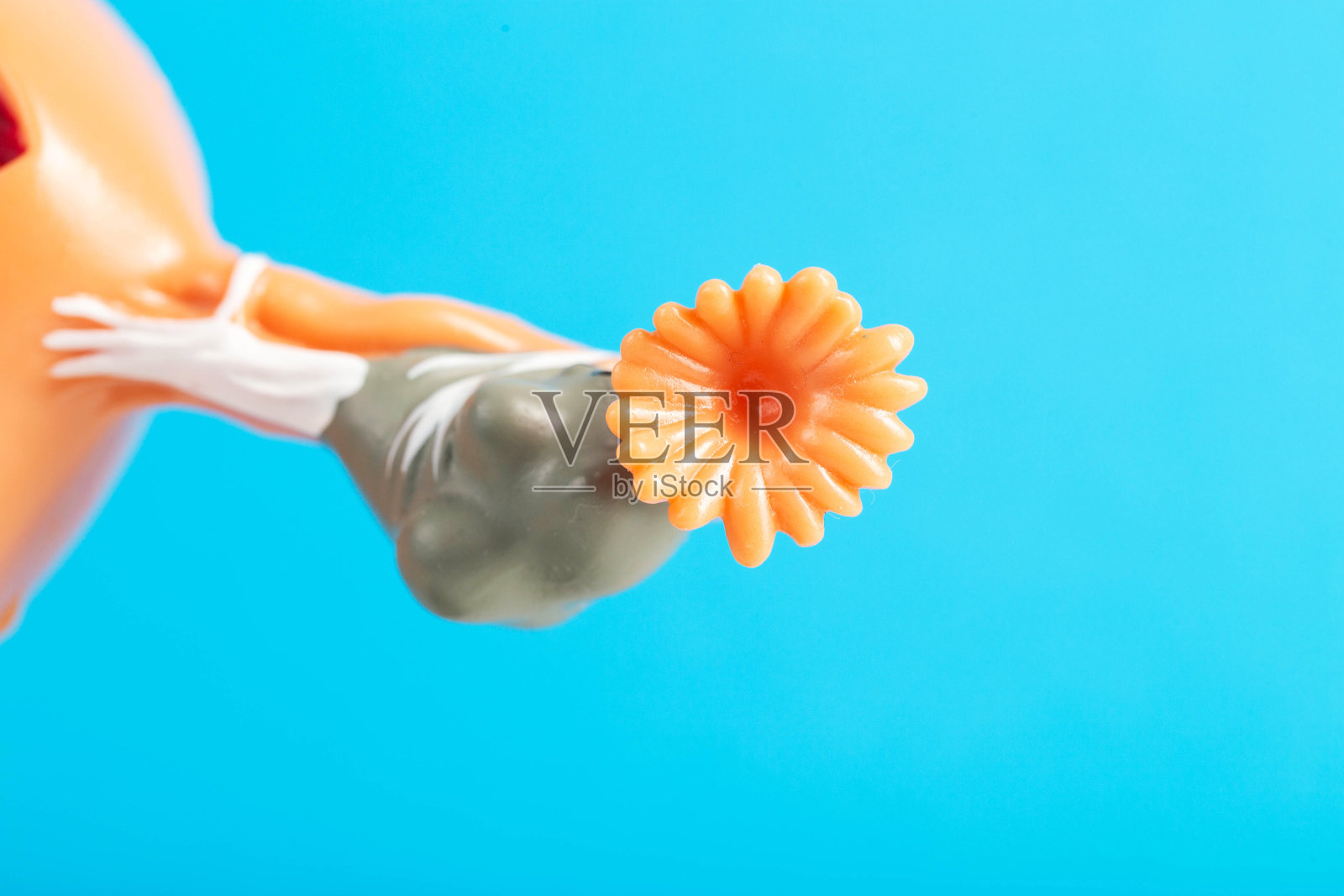 女性卵巢特写，蓝色医疗模型背景。关于女性生殖系统癌症的卵巢切除概念，卵巢疾病和治疗，文字复制空间，人工授精照片摄影图片