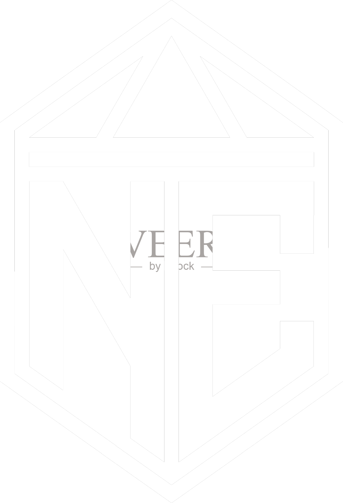 Ne字母标志与六边形盾形字母交织设计元素图片